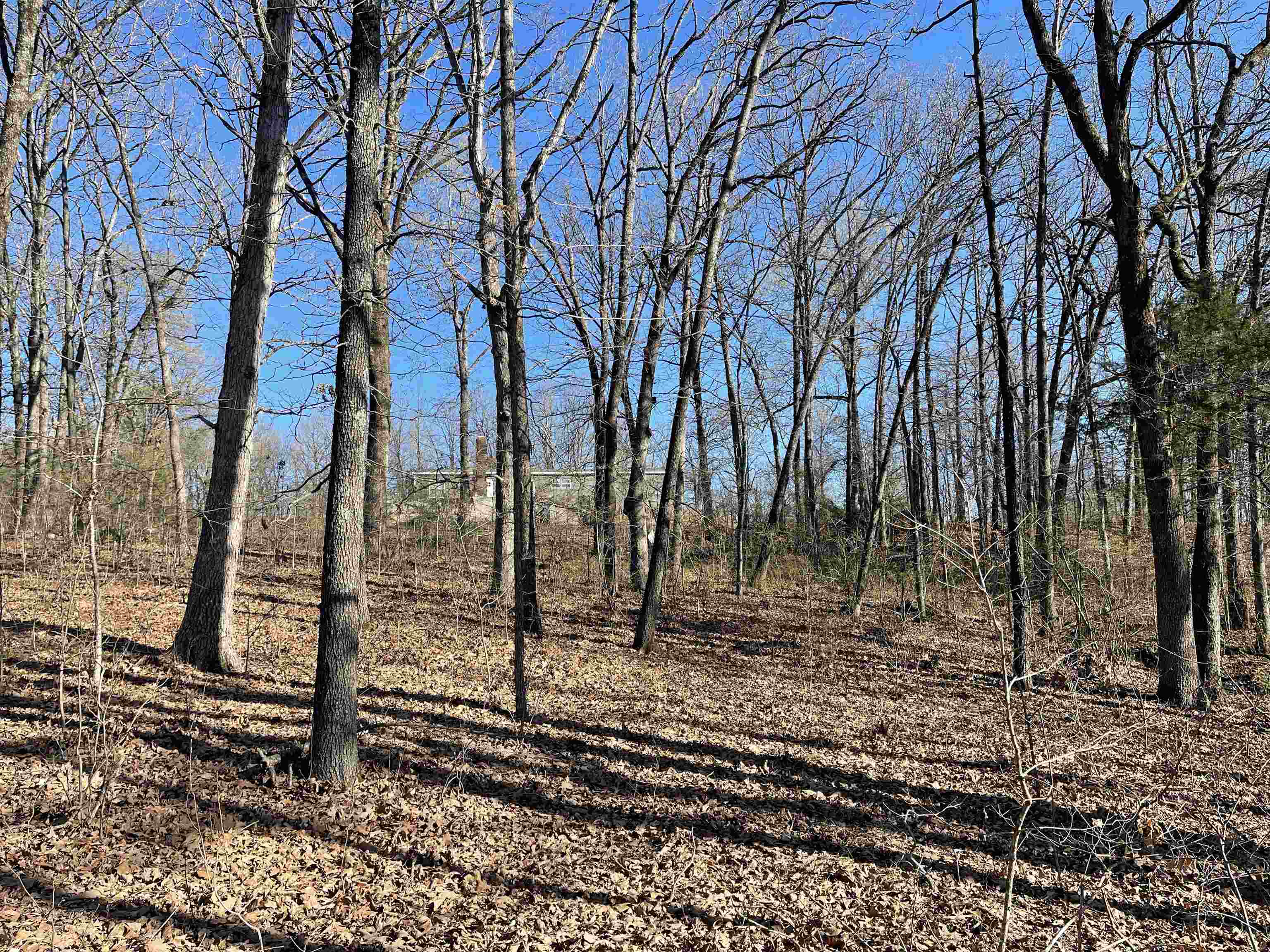 95  Hwy 117 Spur  Powhatan, AR