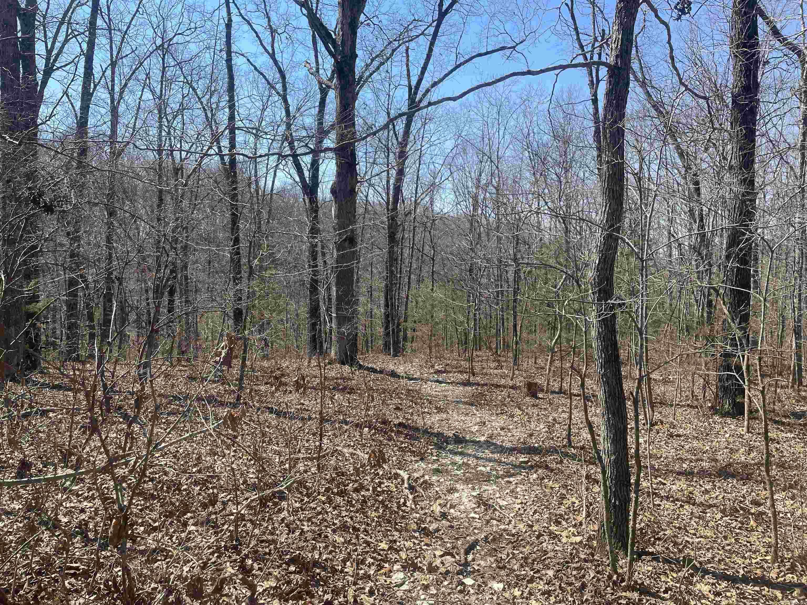 000  Surewood Drive  Mountain View, AR