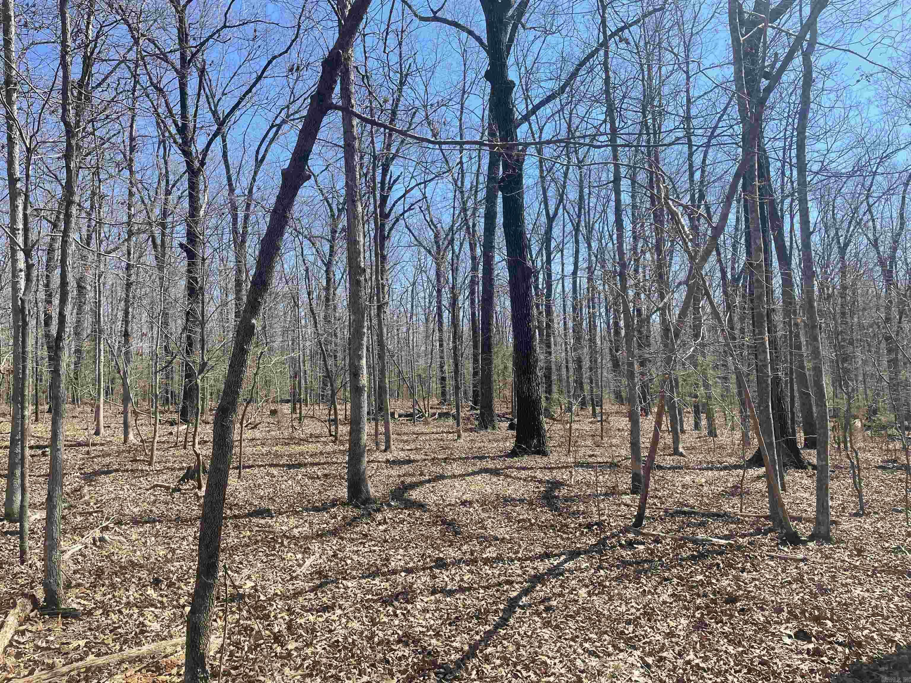 000  Surewood Drive  Mountain View, AR
