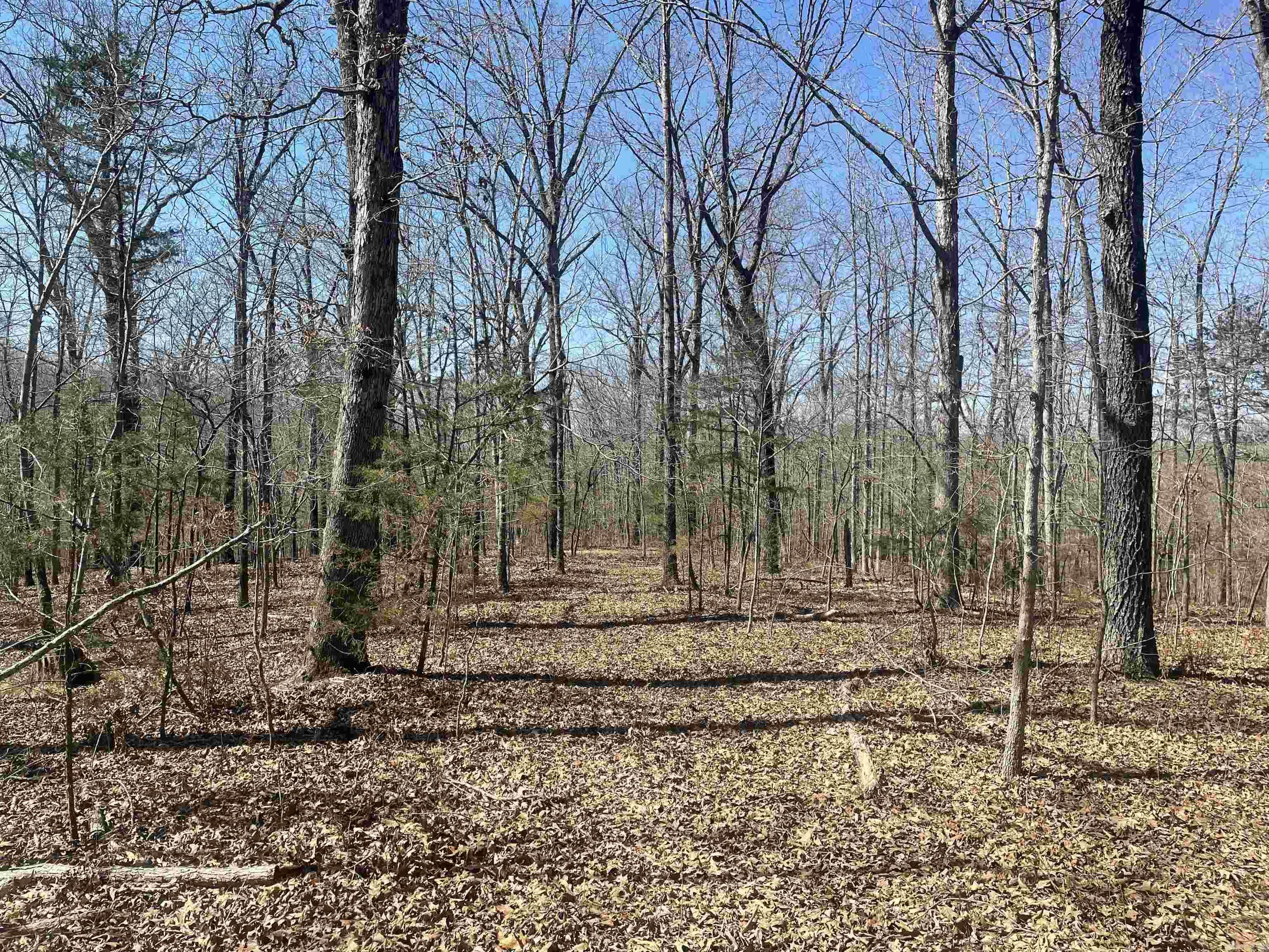 000  Surewood Drive  Mountain View, AR