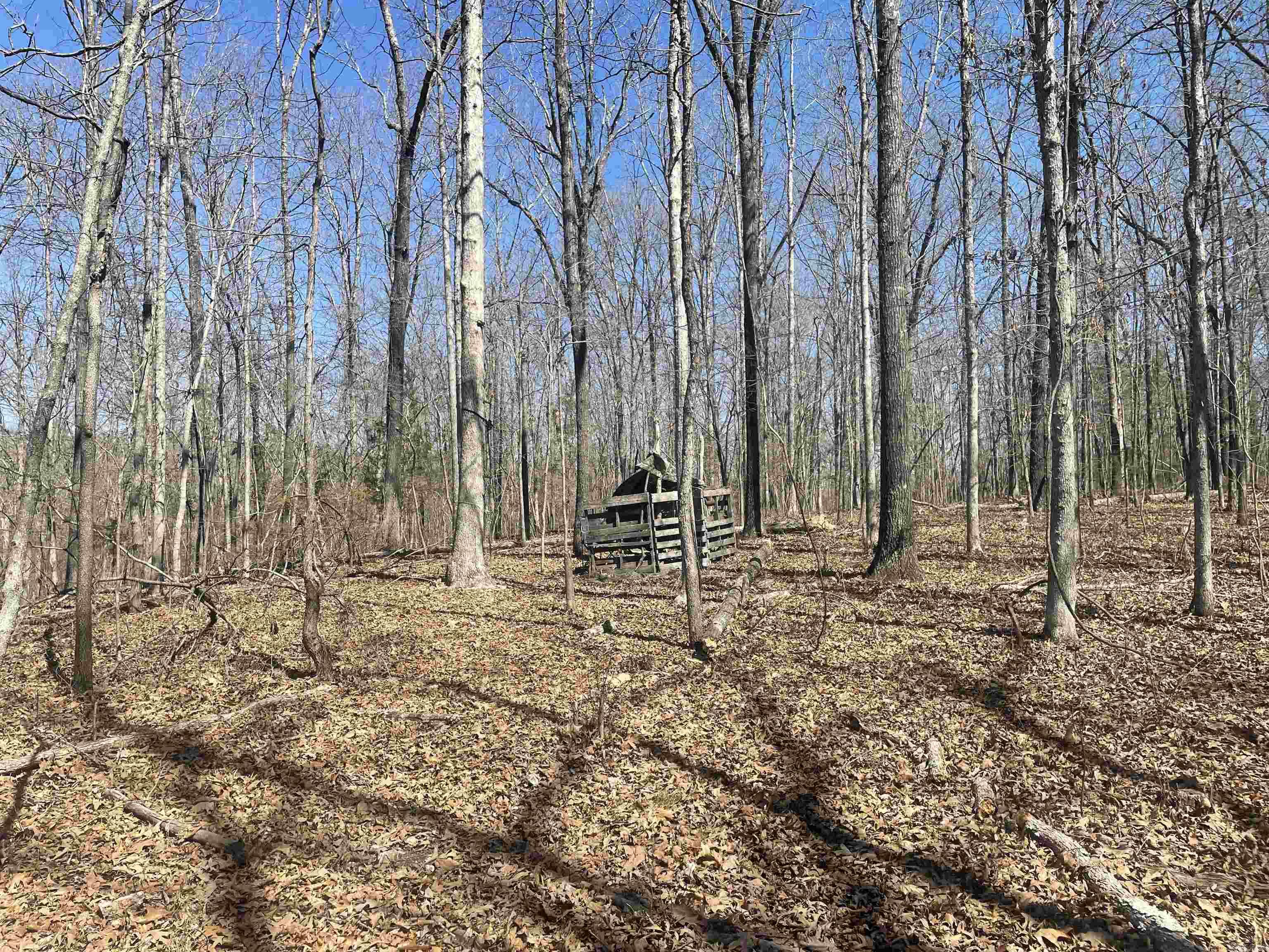 000  Surewood Drive  Mountain View, AR