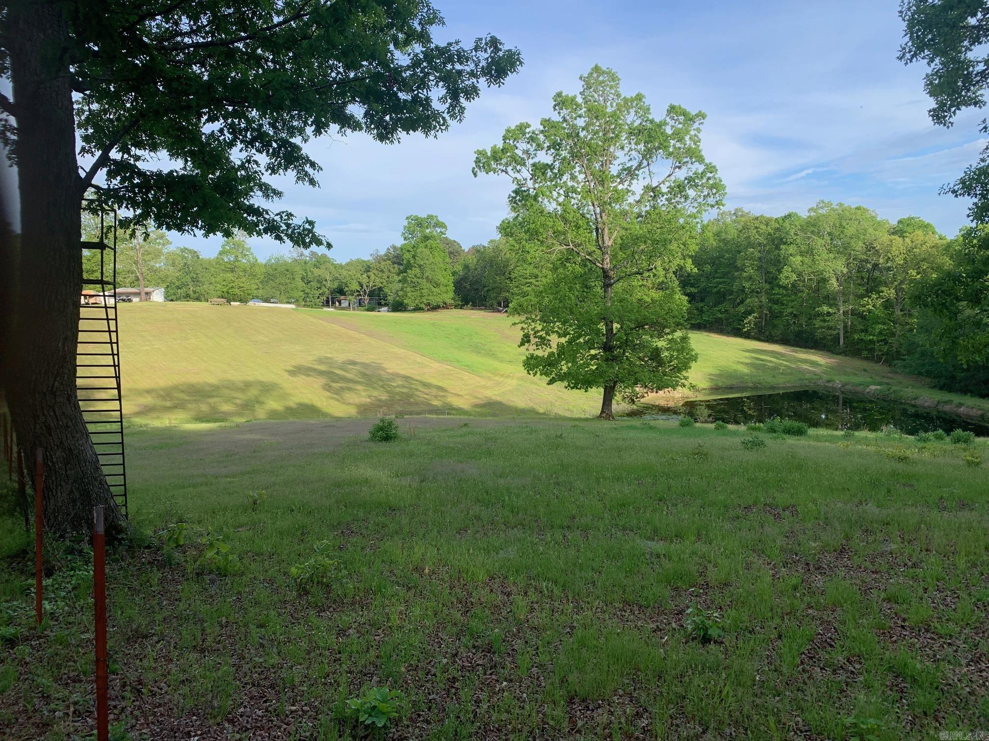 TBD  Polk Road 168 LOT #6 LOT #6 Iron Mountain Estates Mena, AR