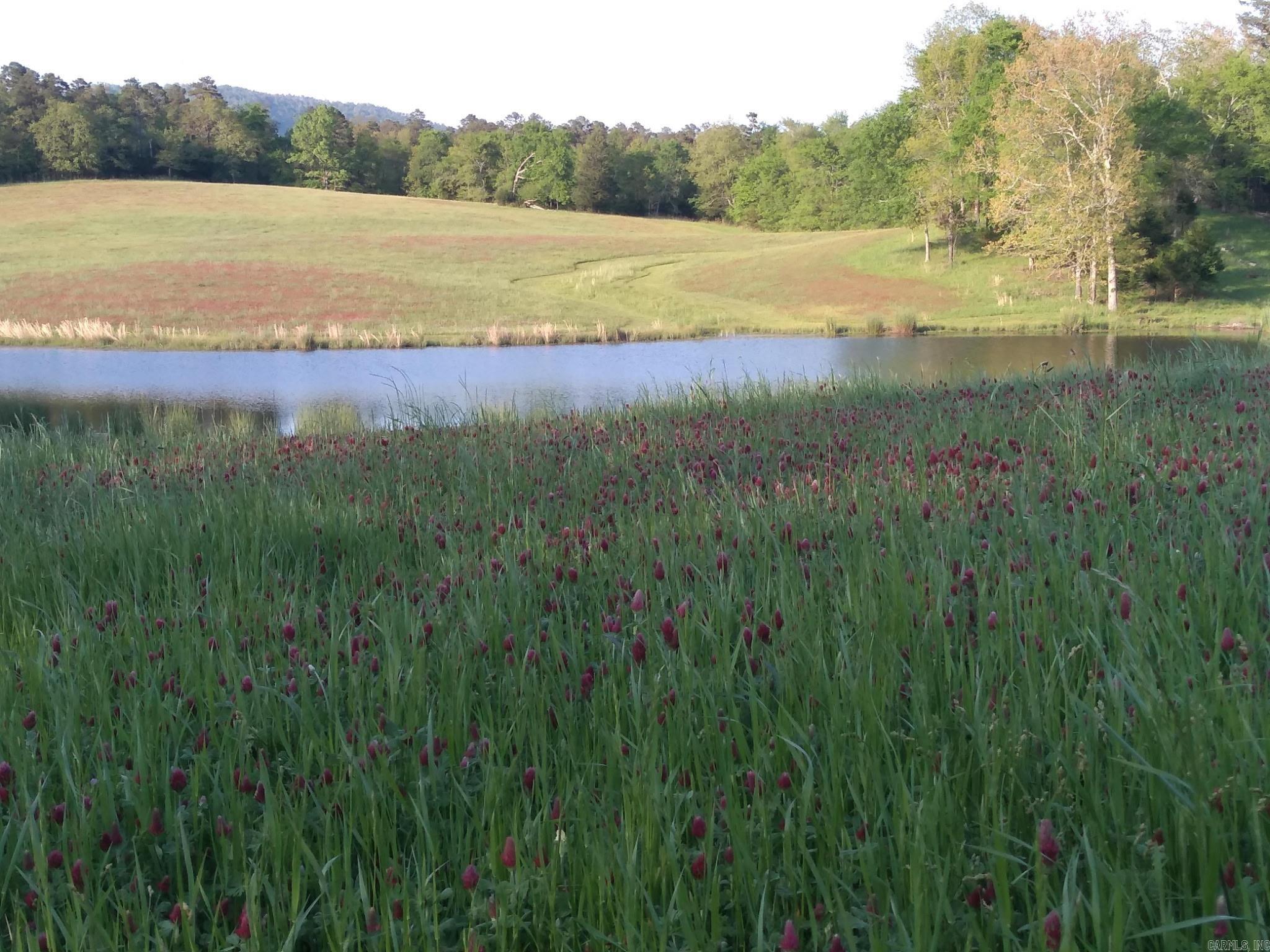 300 Liberty Road Norman, AR 71960
