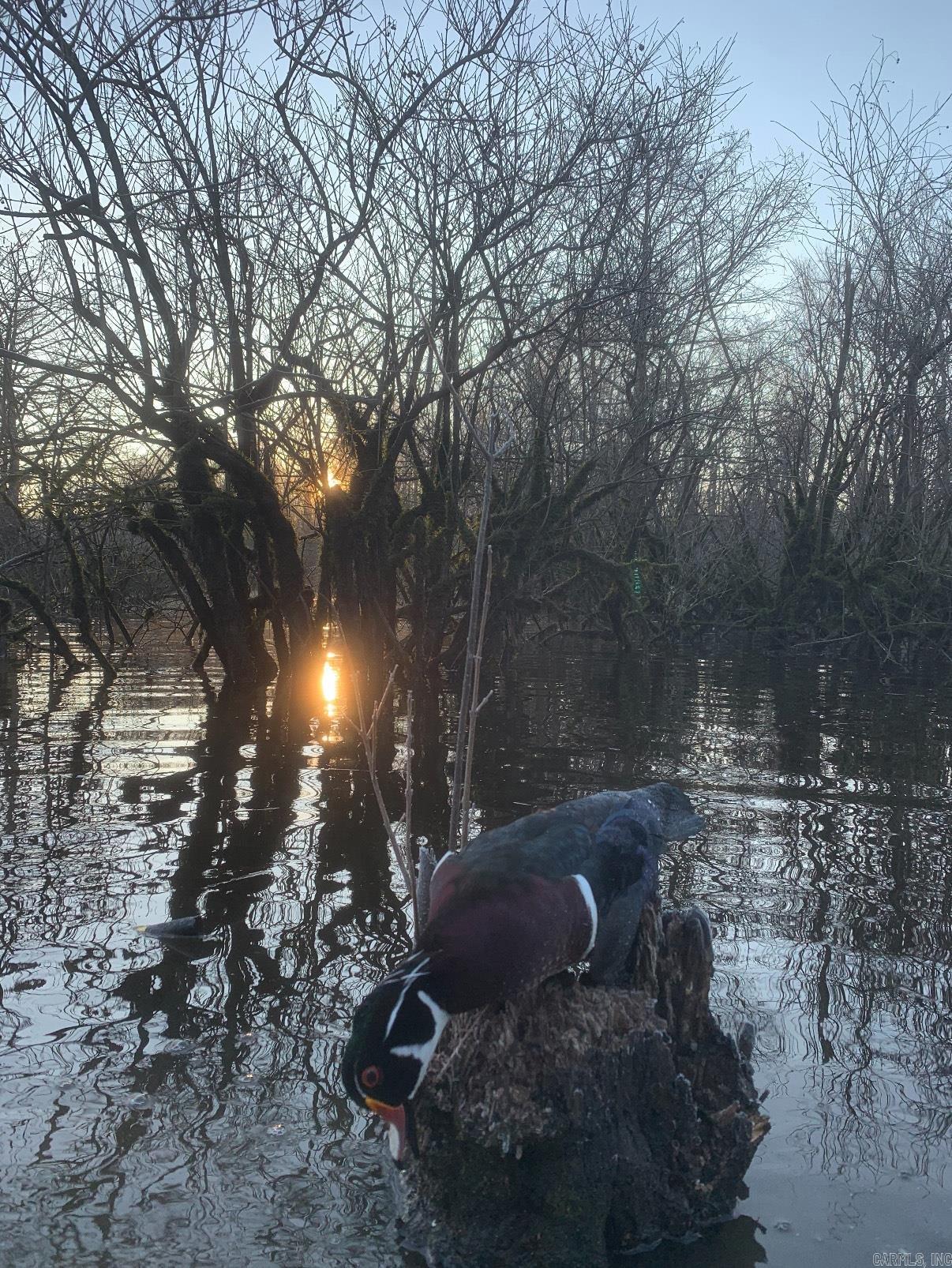 *** Bradley 114 Road  Johnsville, AR