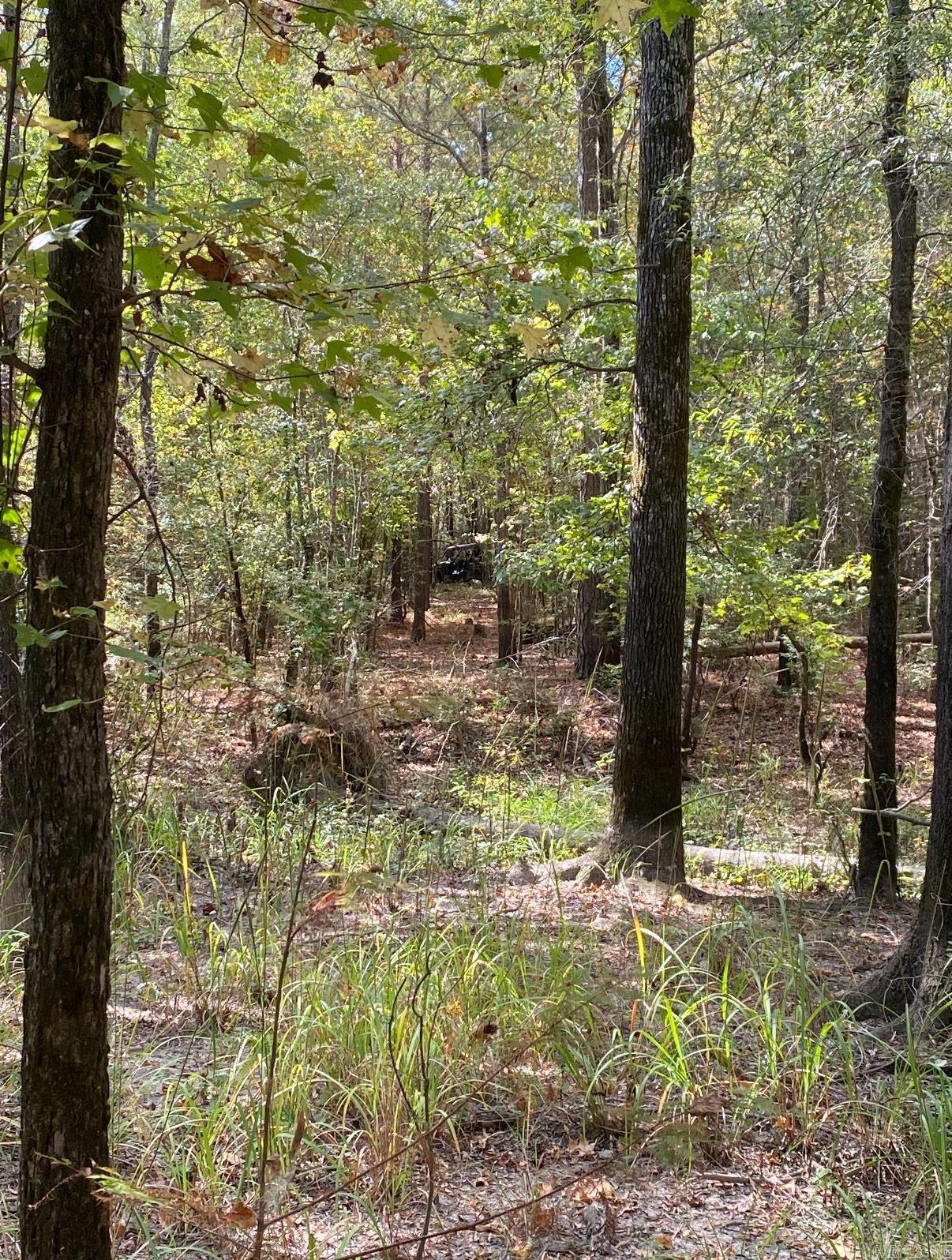 ***  Bradley 114 Road  Johnsville, AR