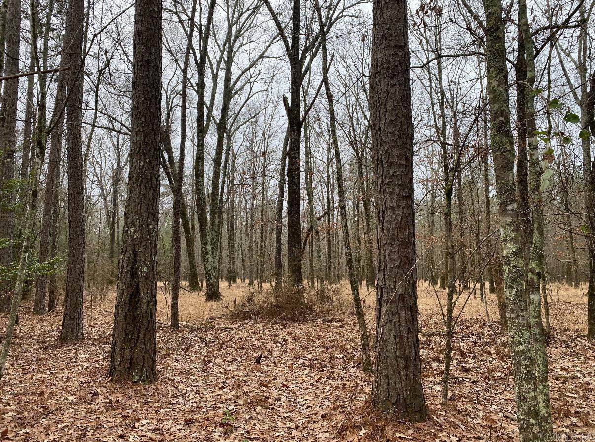 ***  Bradley 114 Road  Johnsville, AR