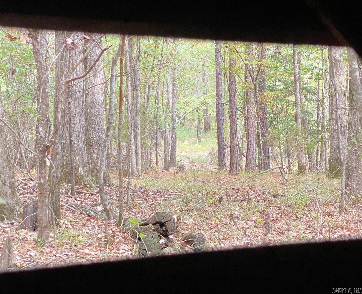 *** Bradley 114 Road  Johnsville, AR