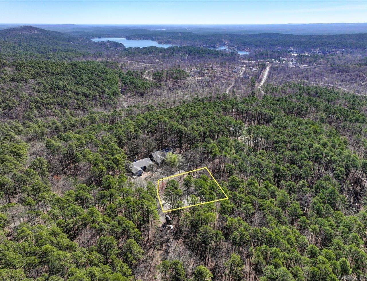 11  Carinena  Hot Springs Village, AR