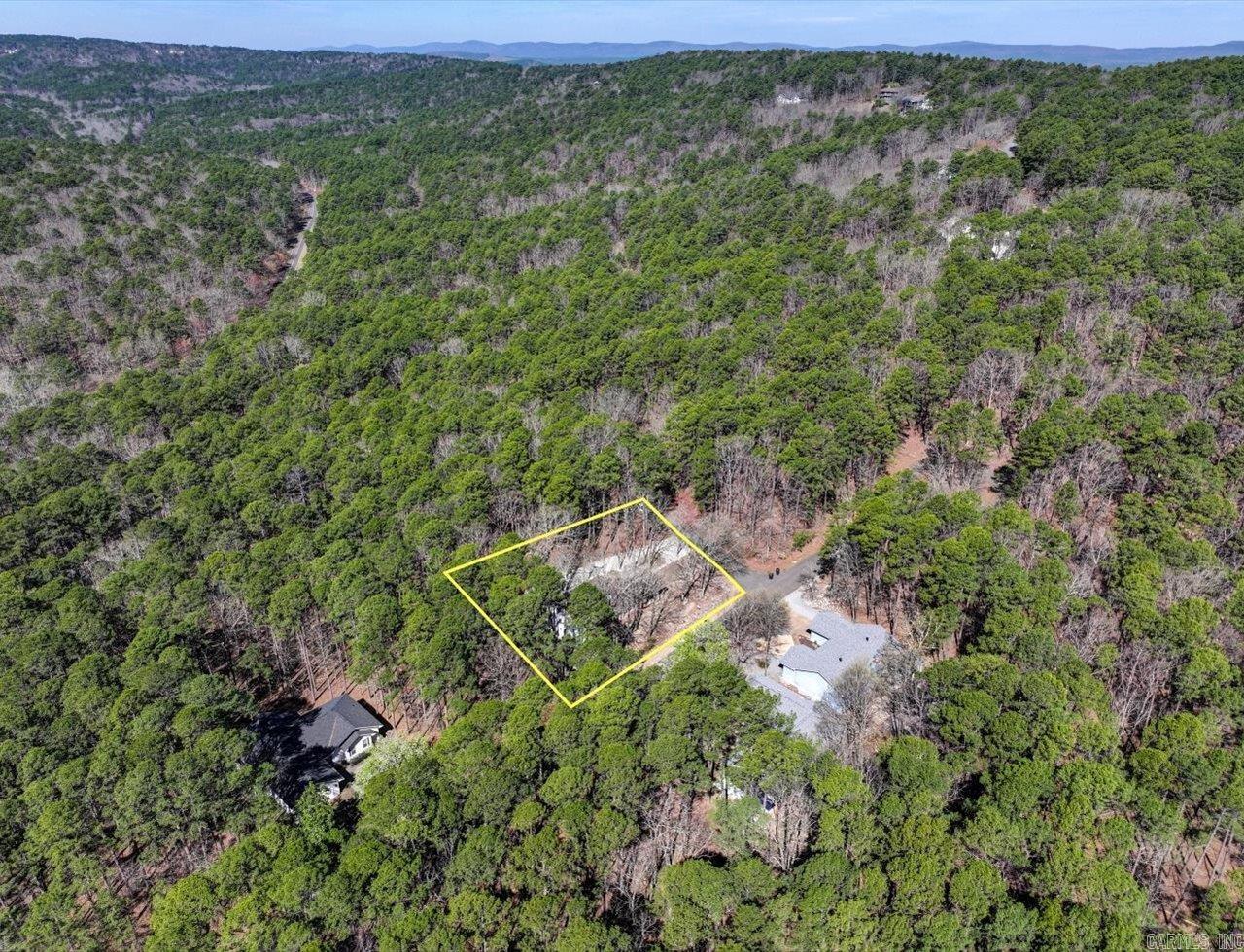 11  Carinena  Hot Springs Village, AR
