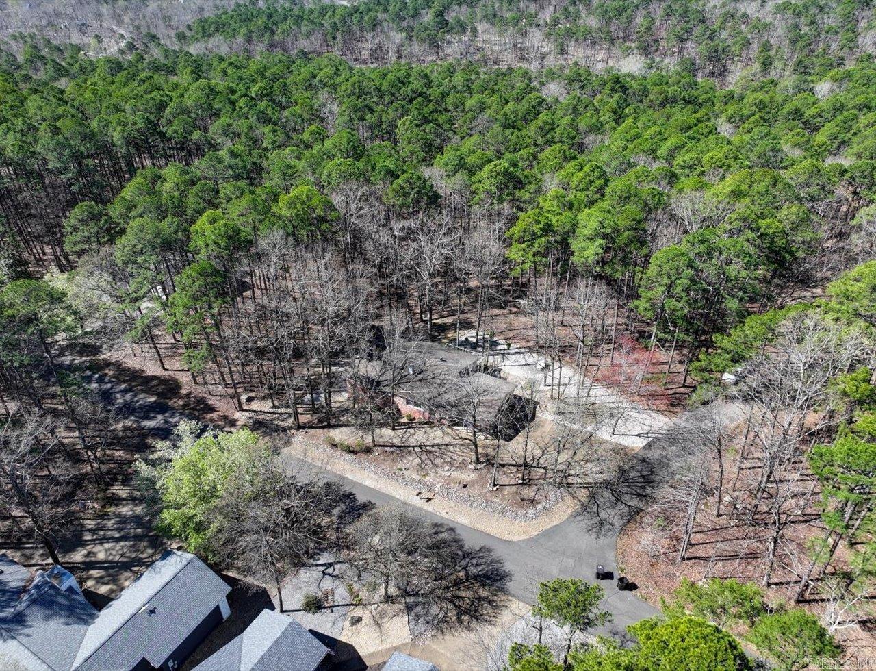 11  Carinena  Hot Springs Village, AR