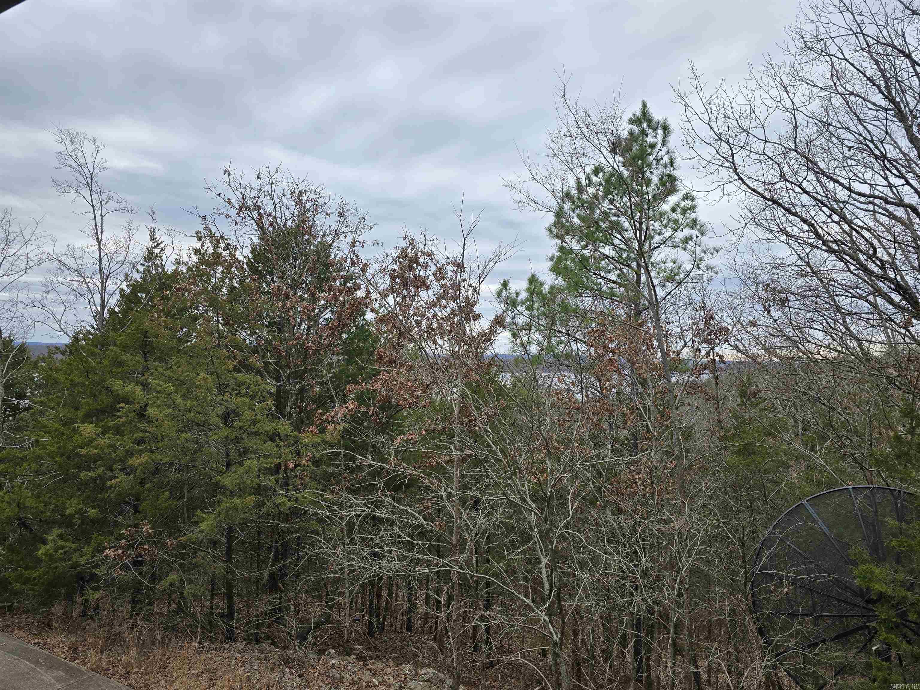 2576  Mccracken Ridge Road  Mountain Home, AR