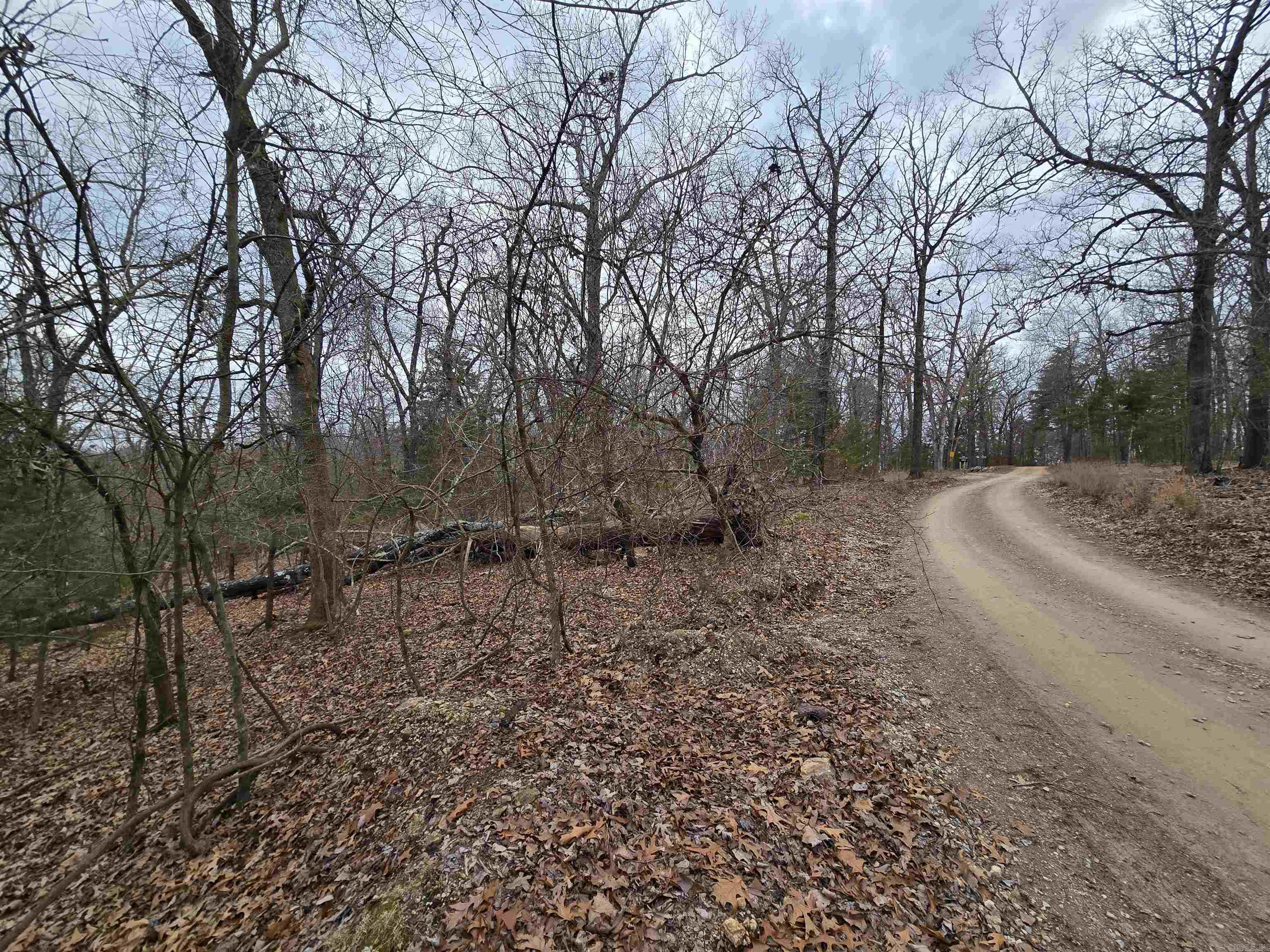 2576  Mccracken Ridge Road  Mountain Home, AR