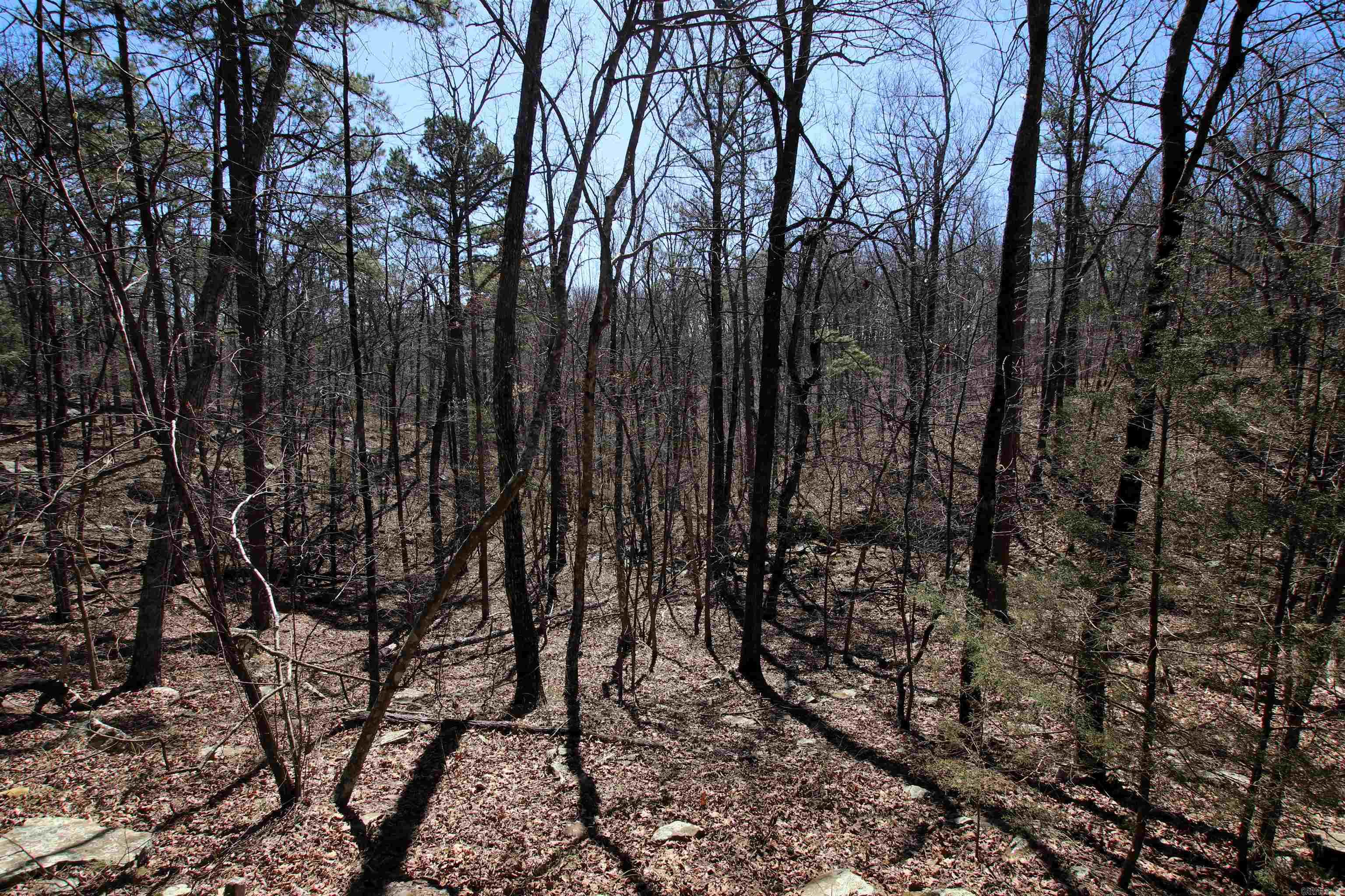 4429  Oyler  Clinton, AR