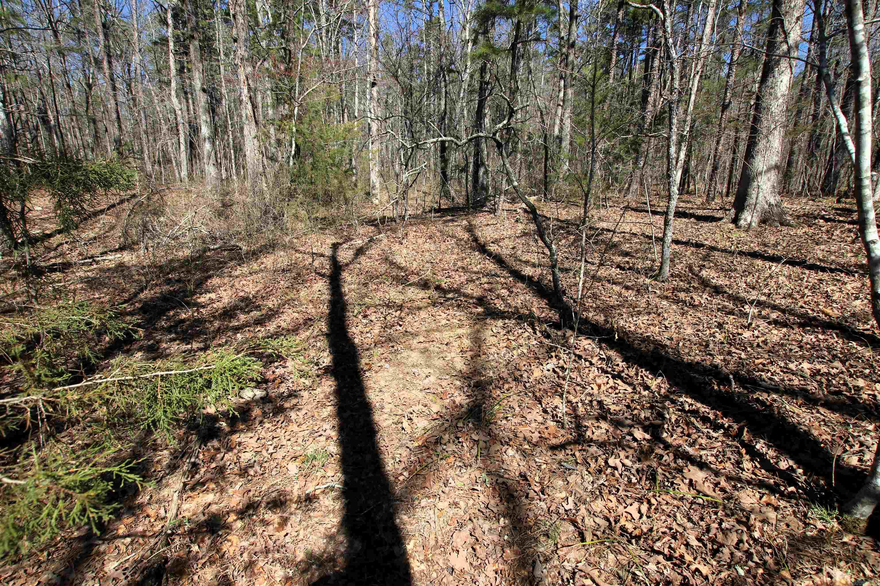 4429  Oyler  Clinton, AR