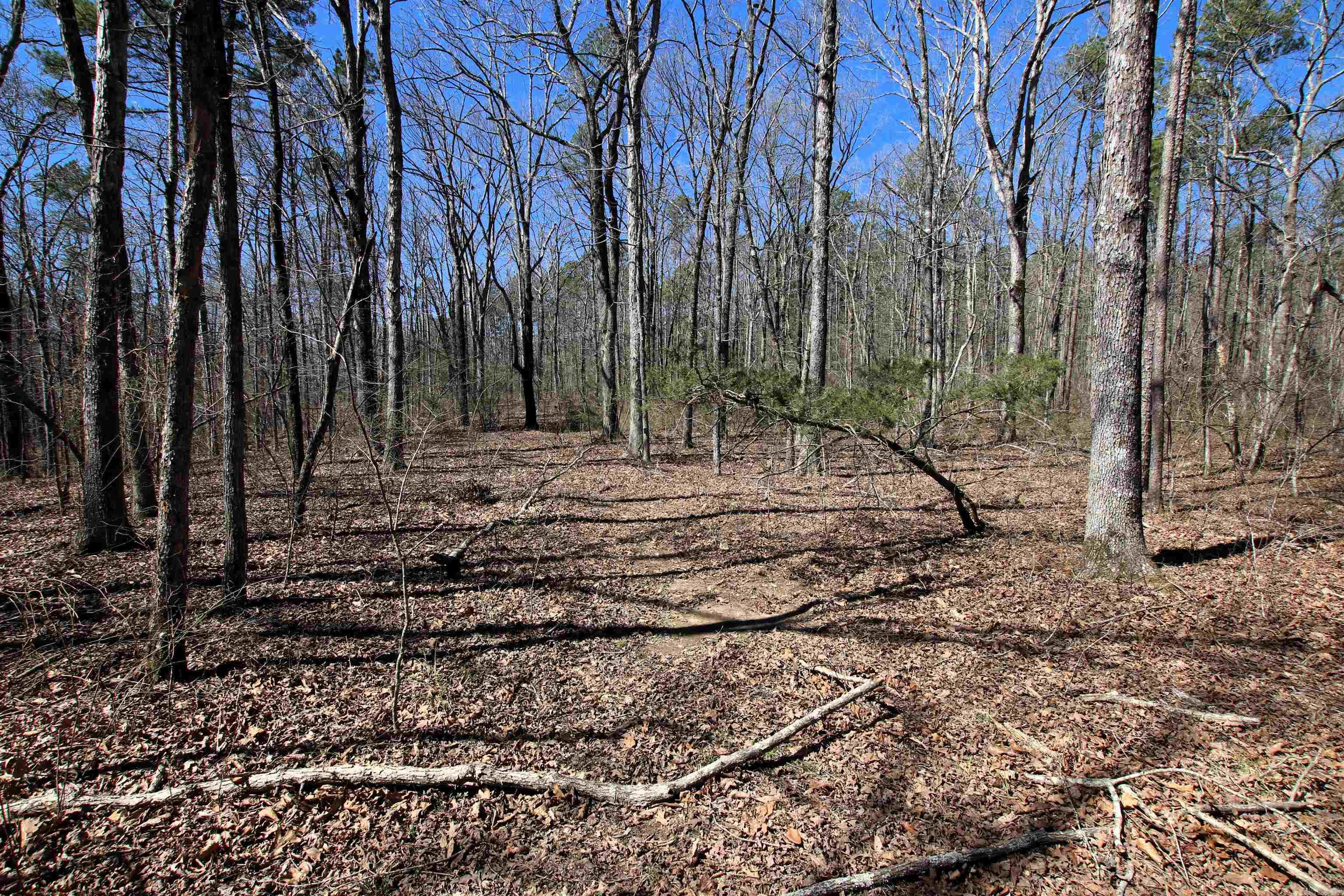4429  Oyler  Clinton, AR