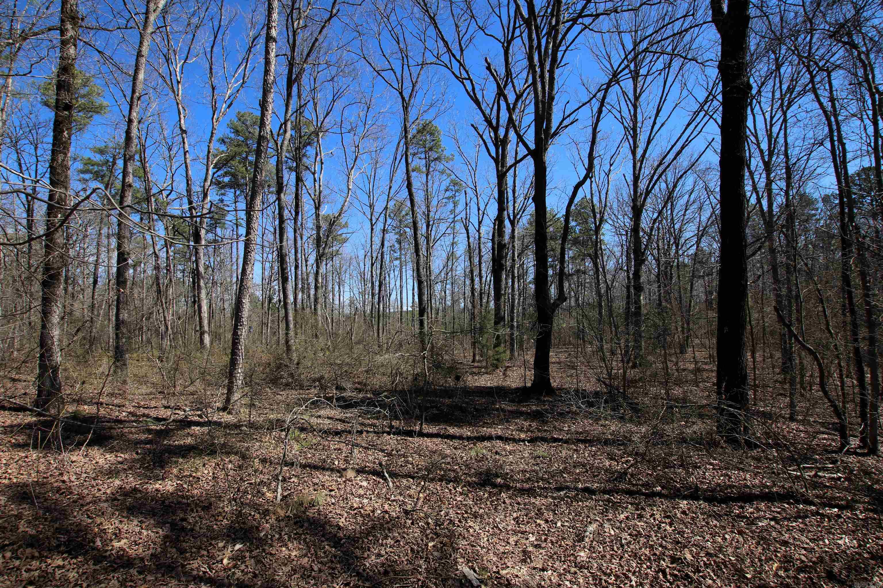 4429  Oyler  Clinton, AR