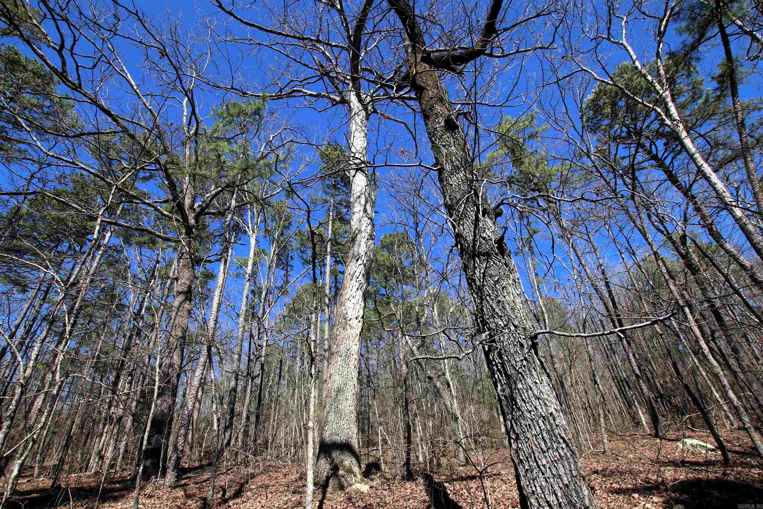 4429  Oyler  Clinton, AR