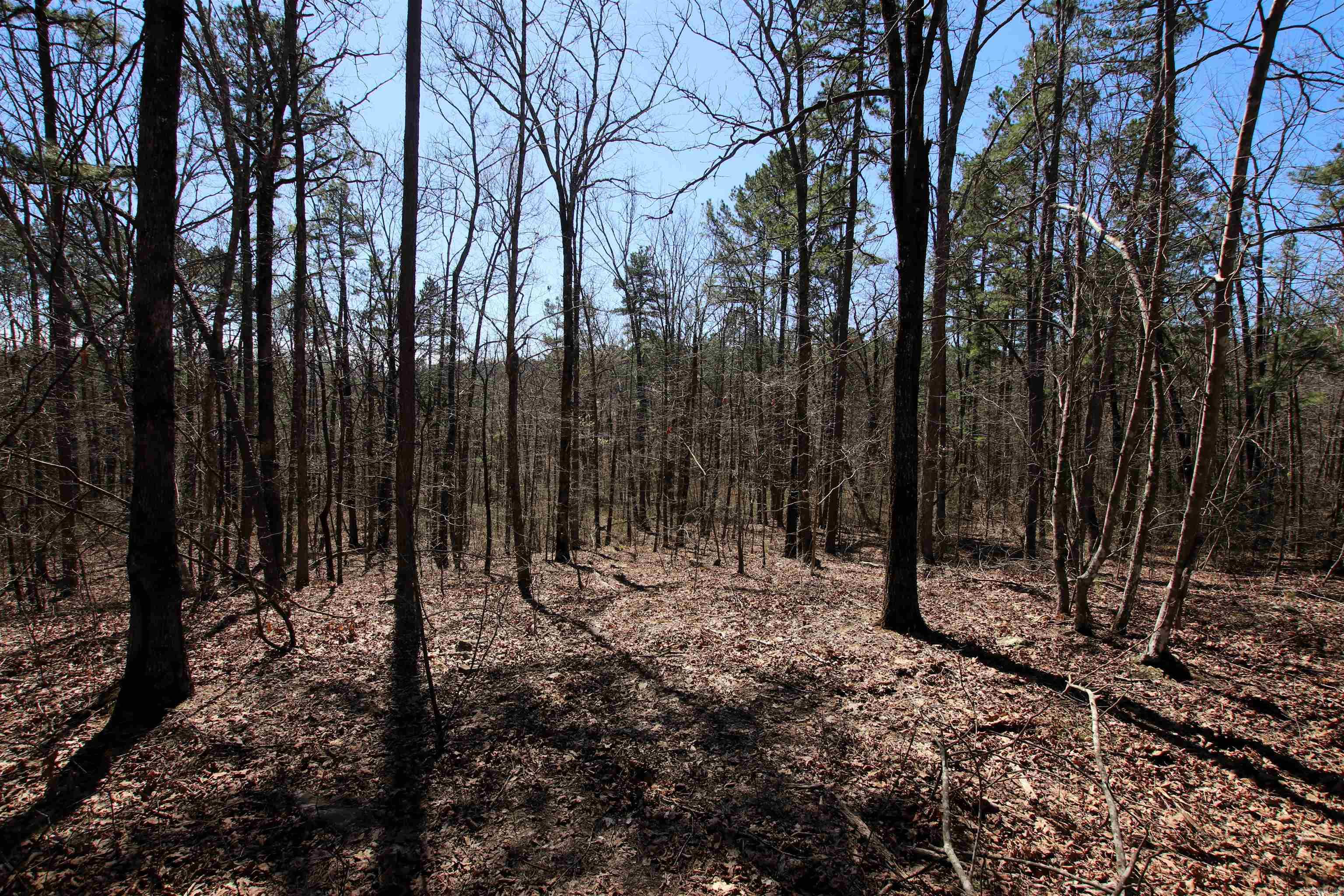 4429  Oyler  Clinton, AR