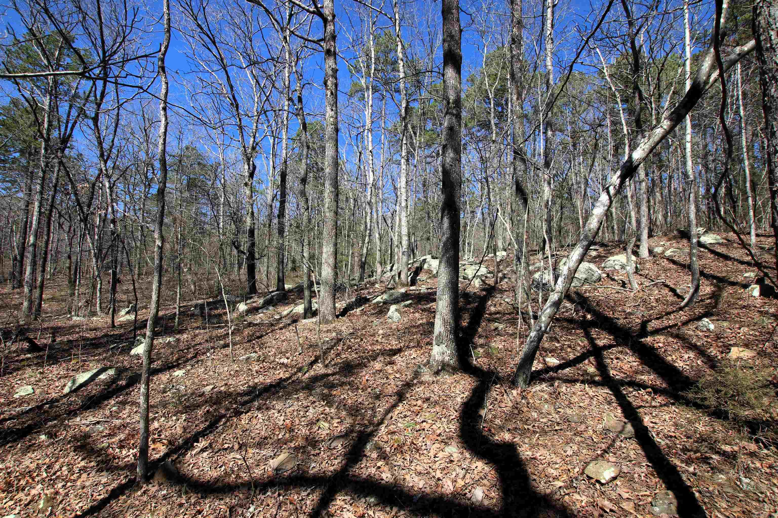 4429  Oyler  Clinton, AR