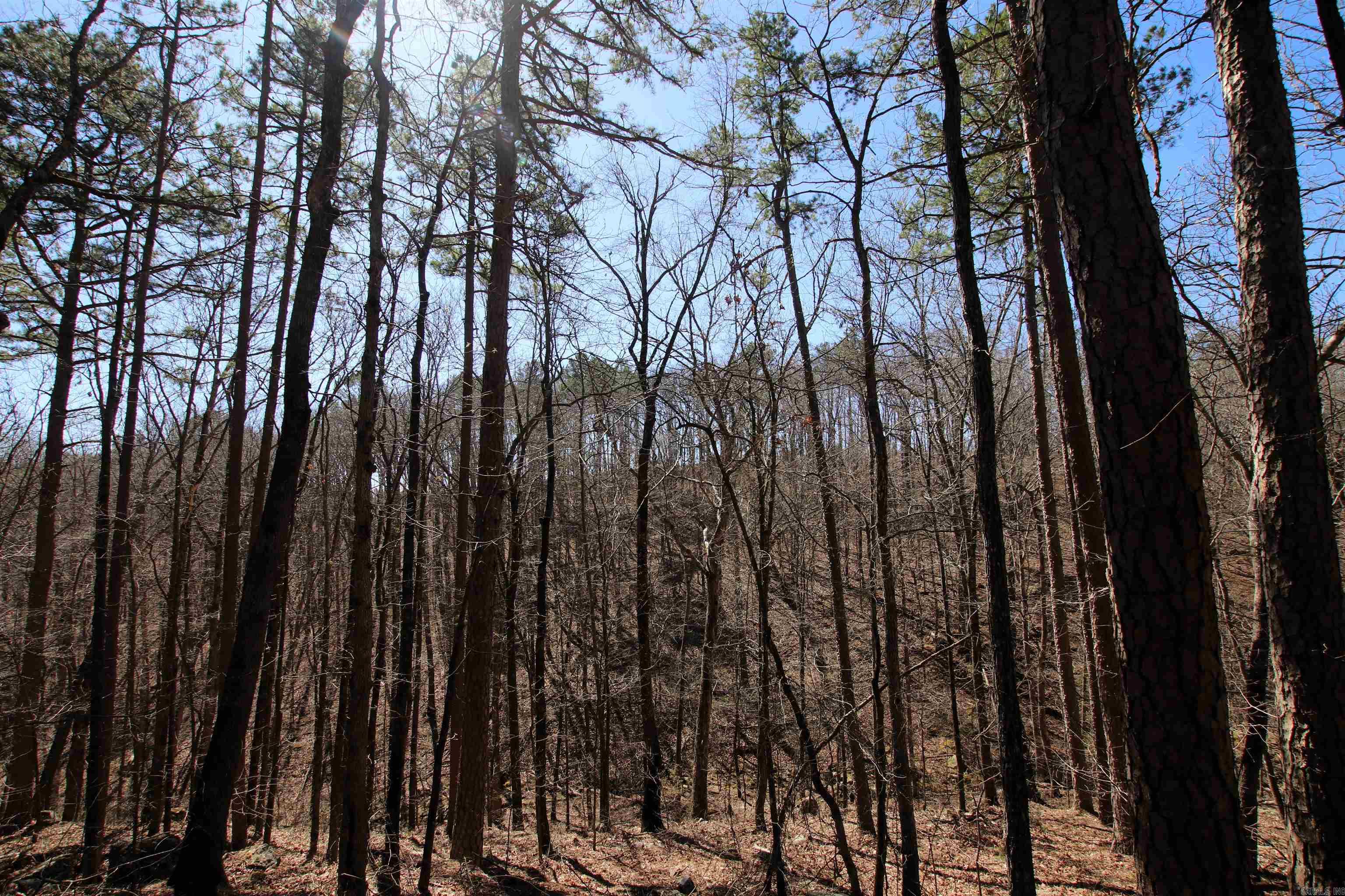 4429  Oyler  Clinton, AR