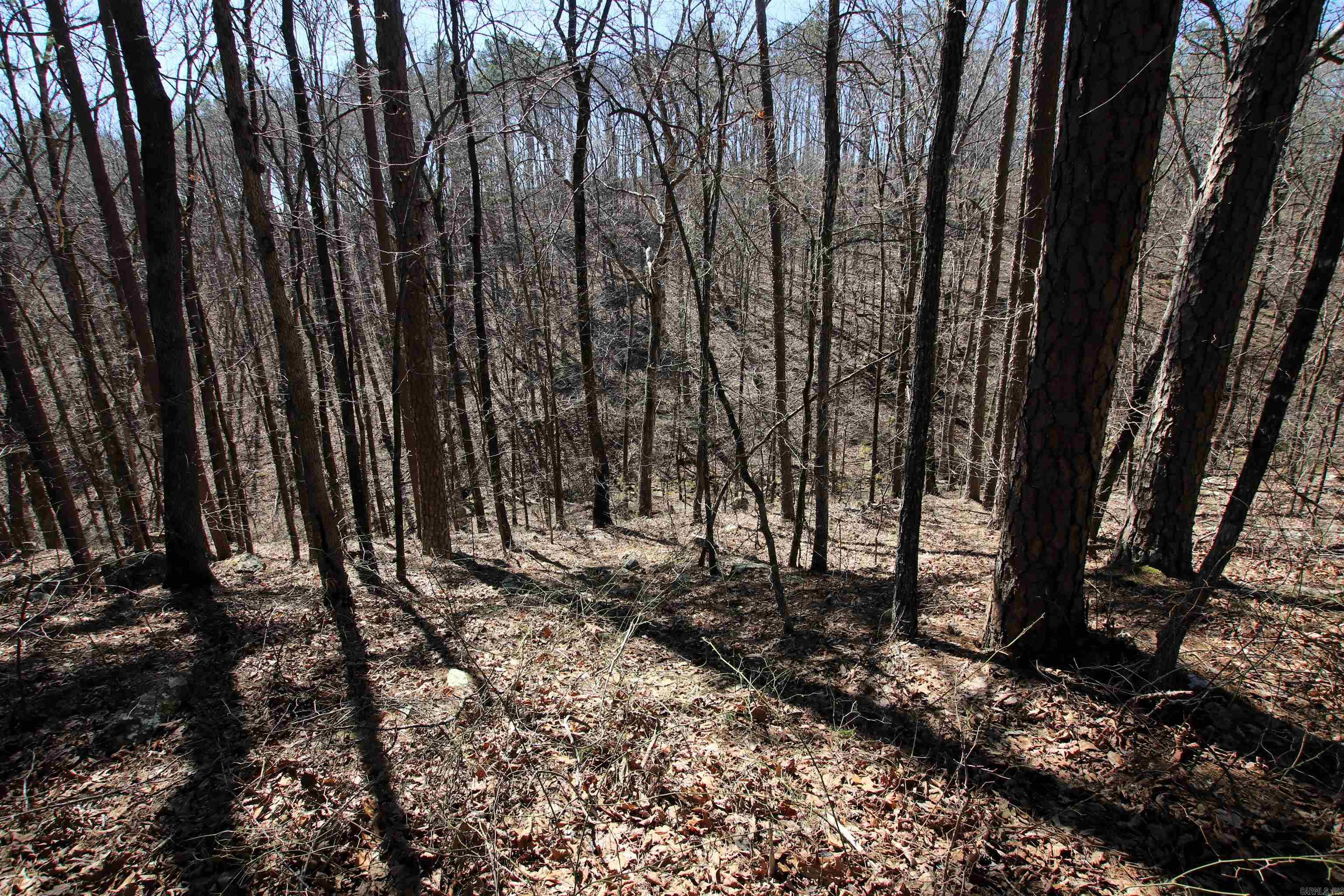 4429  Oyler  Clinton, AR