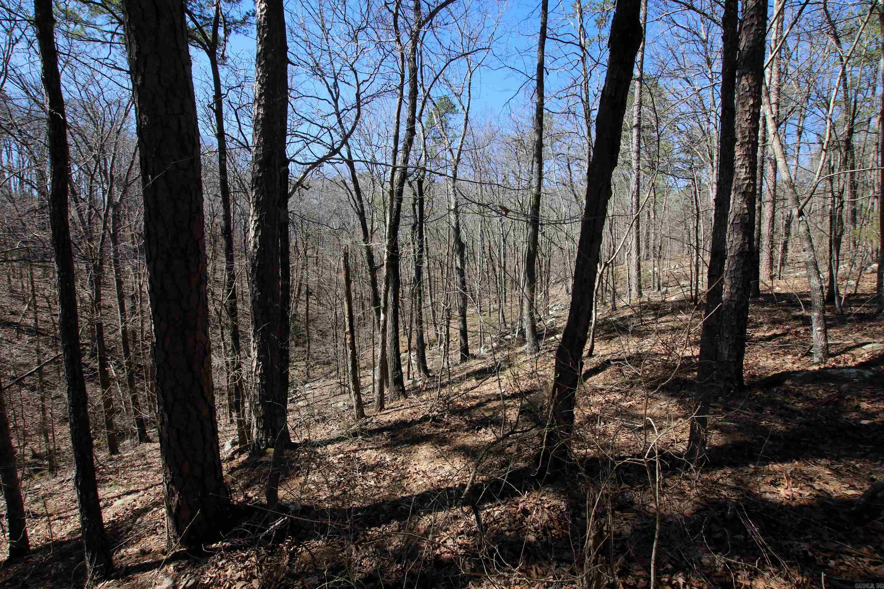 4429  Oyler  Clinton, AR