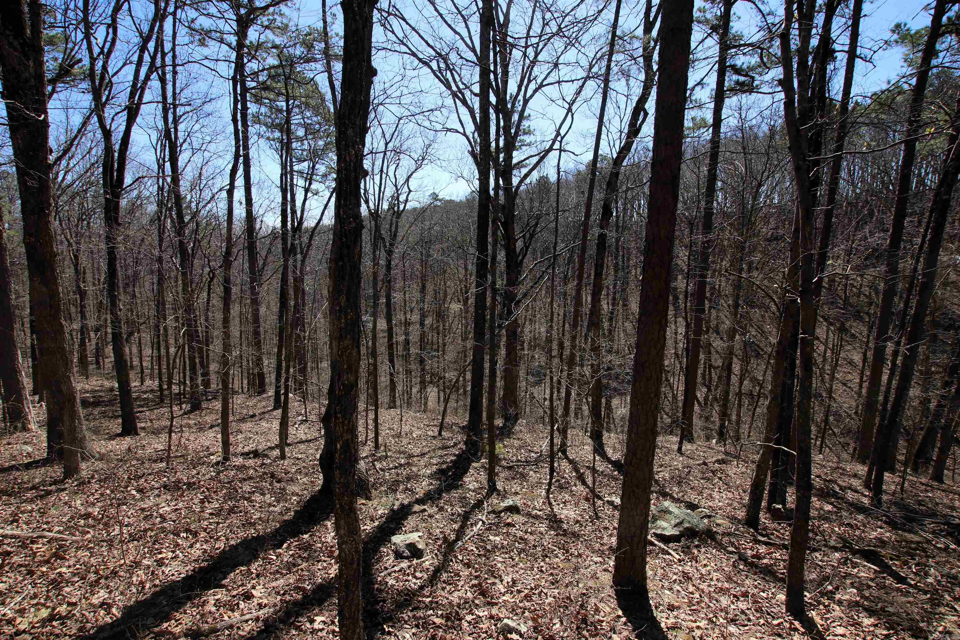 4429  Oyler  Clinton, AR