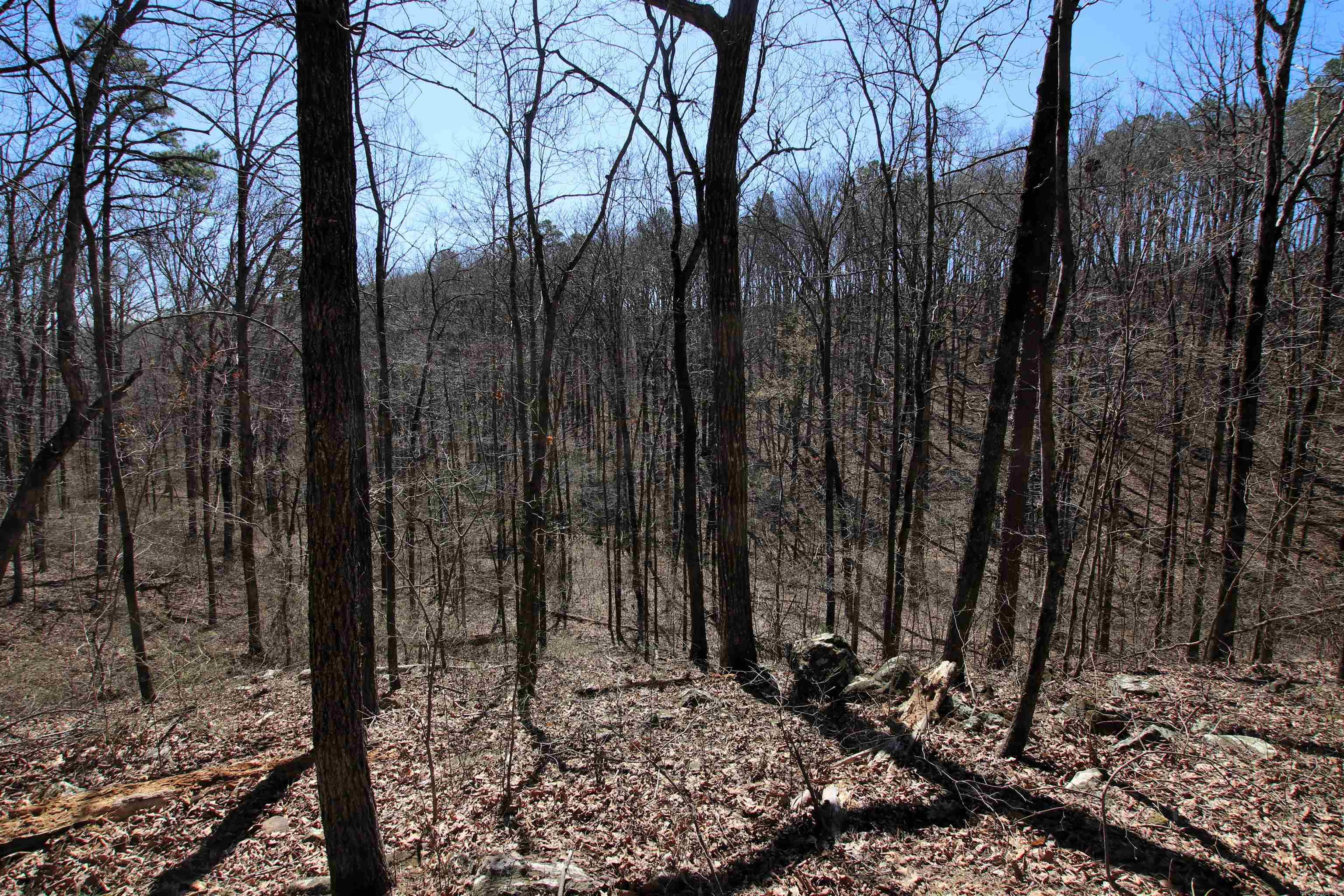 4429  Oyler  Clinton, AR