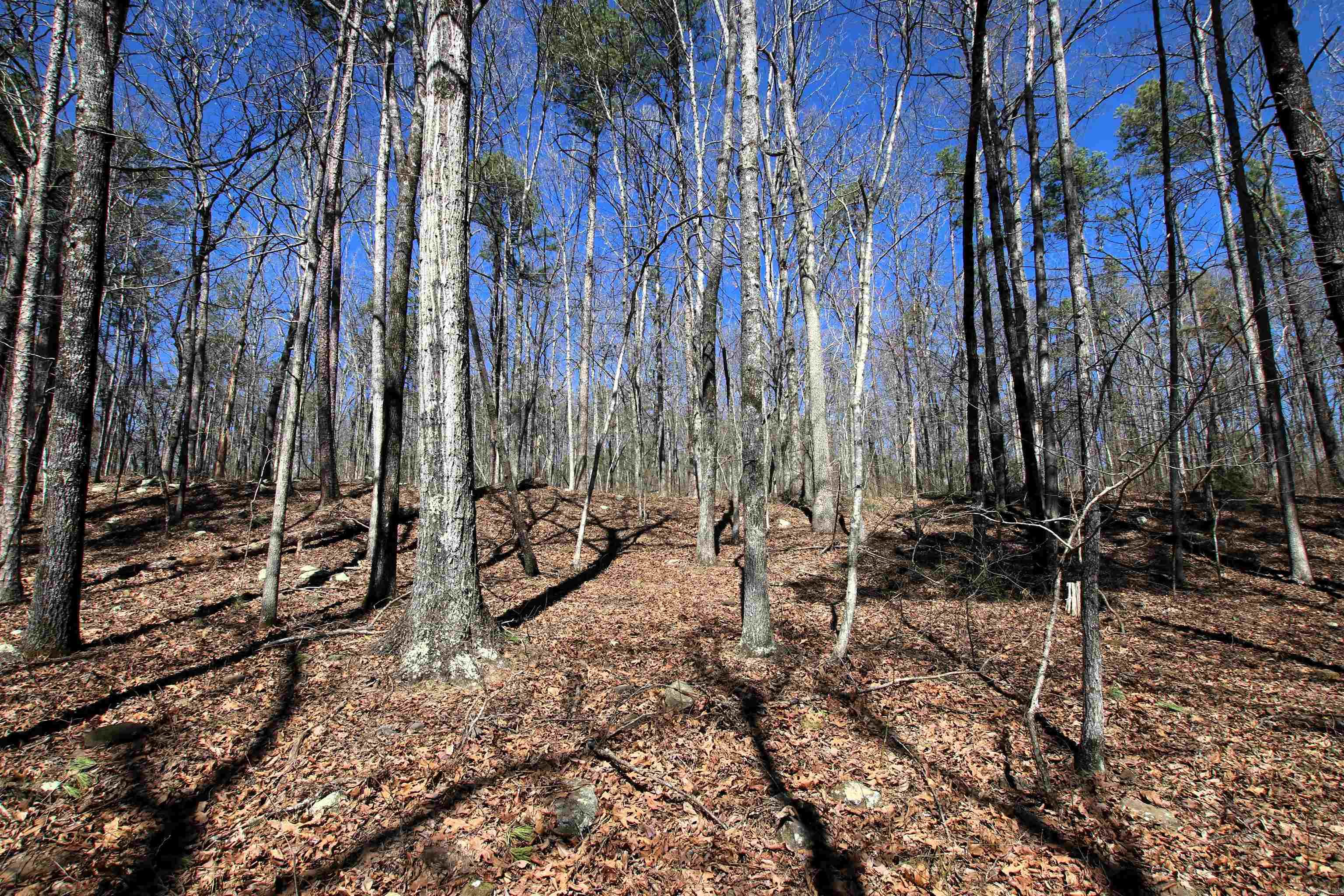4429  Oyler  Clinton, AR