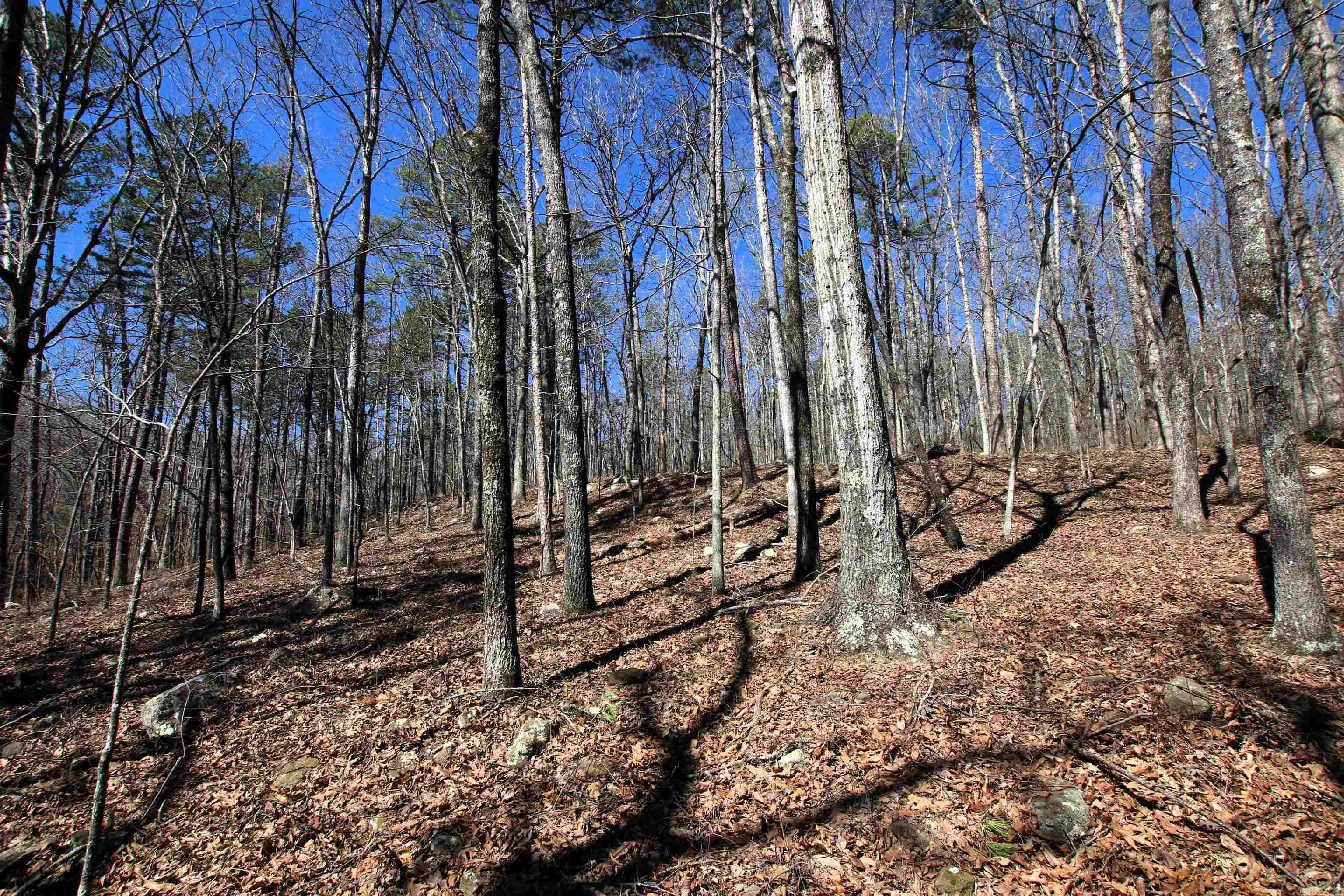 4429  Oyler  Clinton, AR
