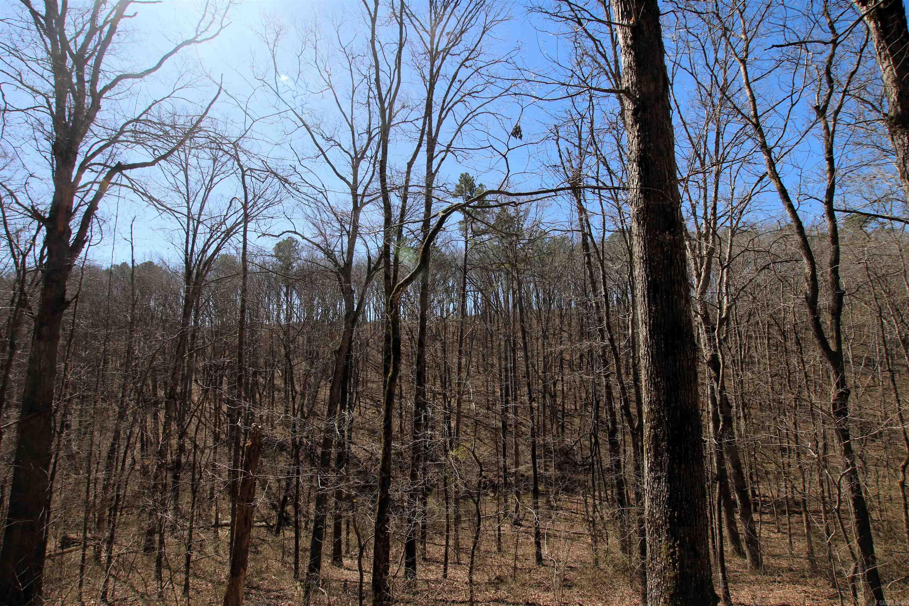 4429  Oyler  Clinton, AR