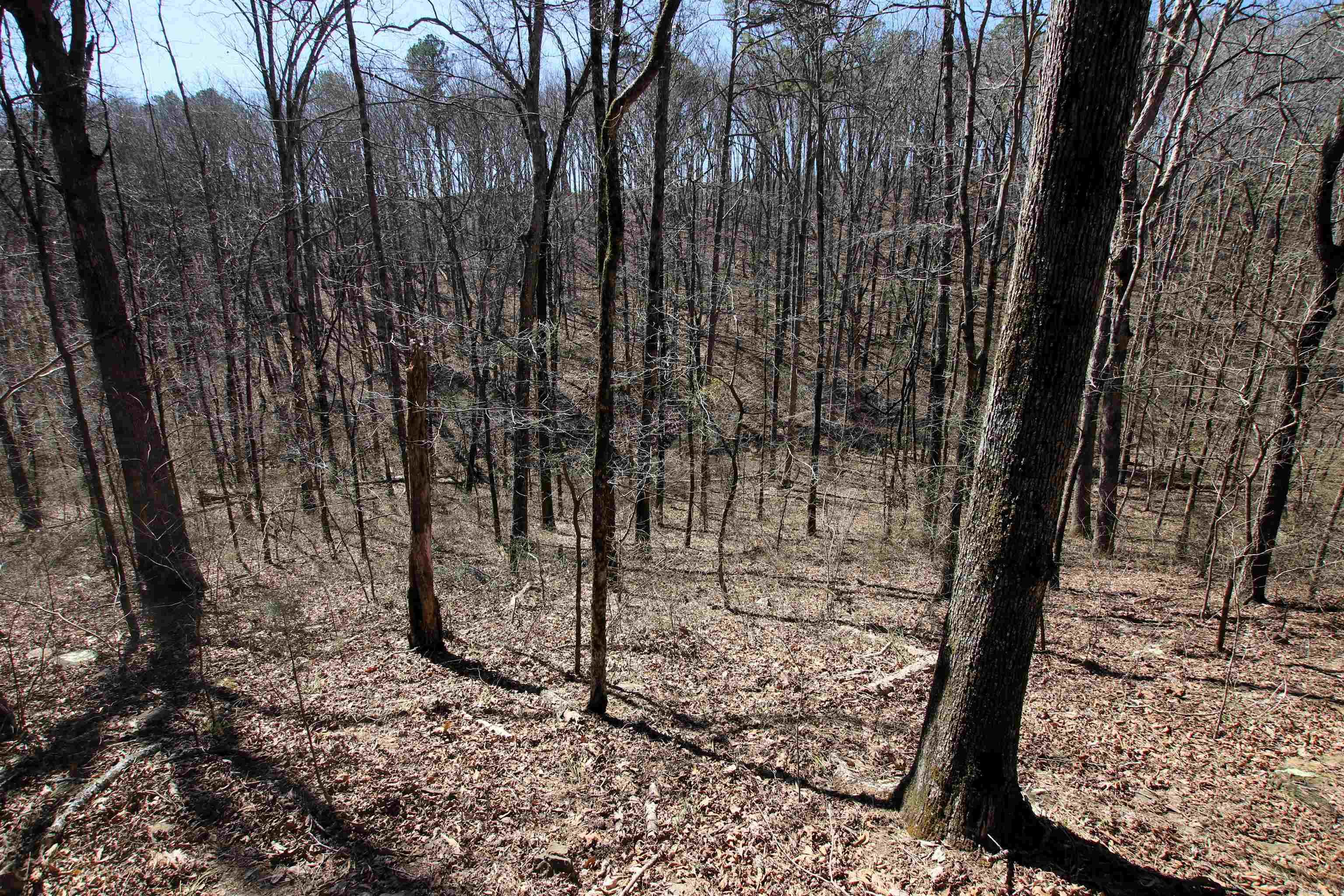 4429  Oyler  Clinton, AR