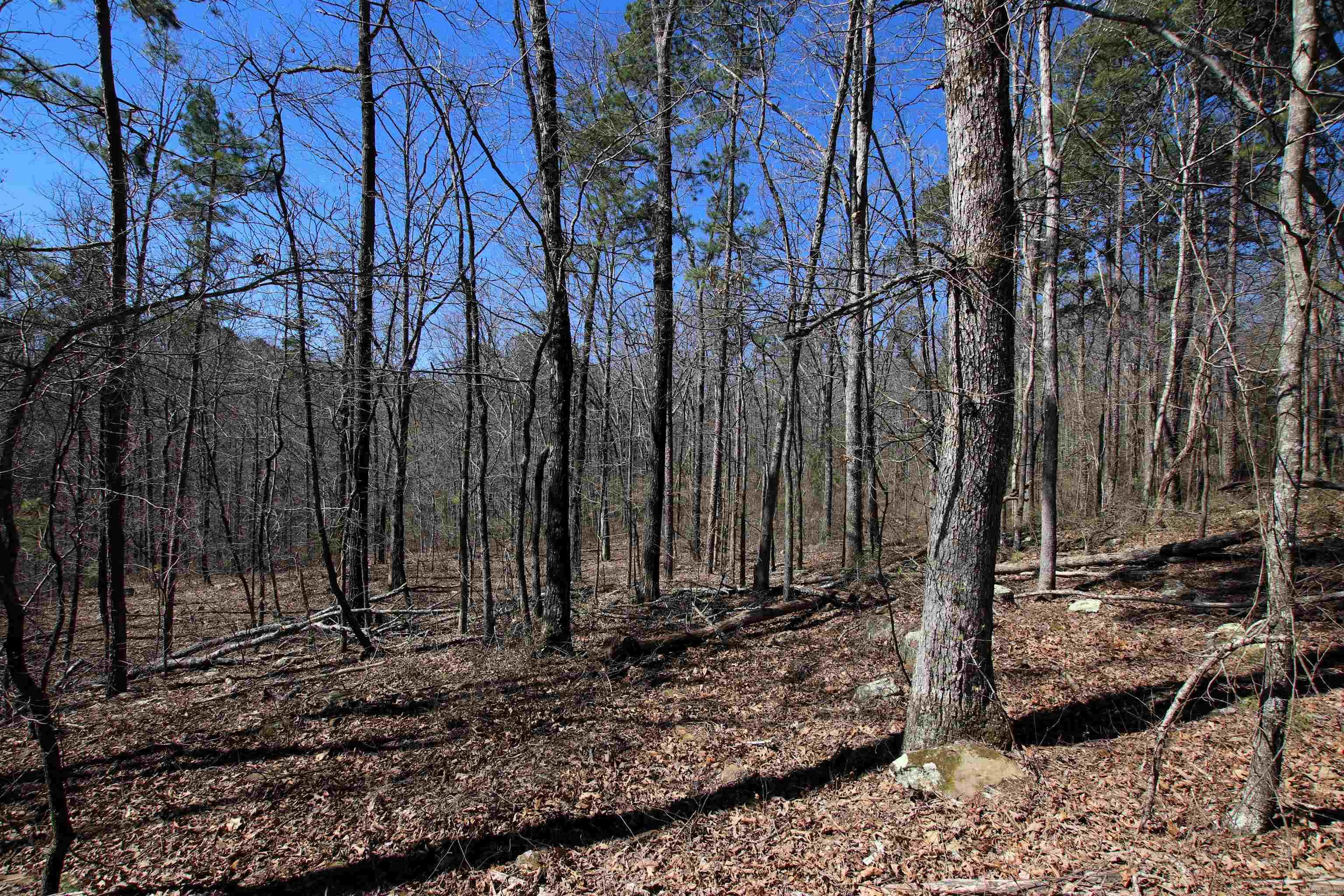 4429  Oyler  Clinton, AR