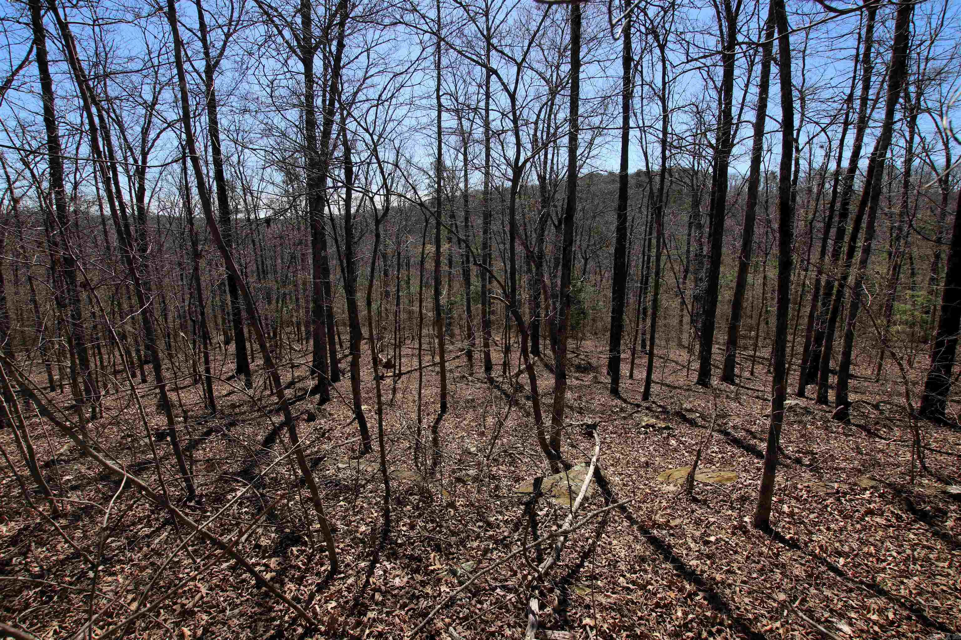 4429  Oyler  Clinton, AR
