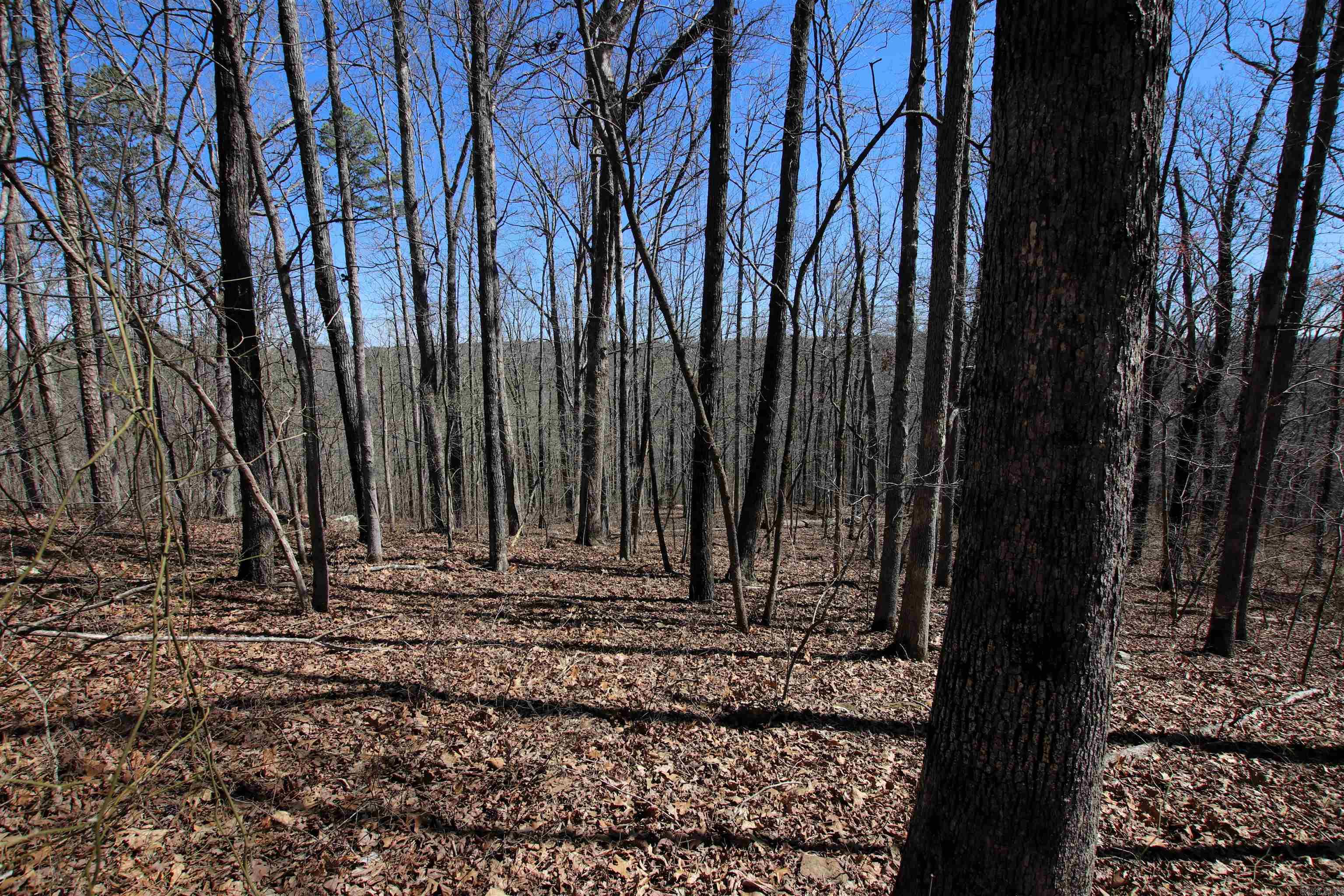 4429  Oyler  Clinton, AR