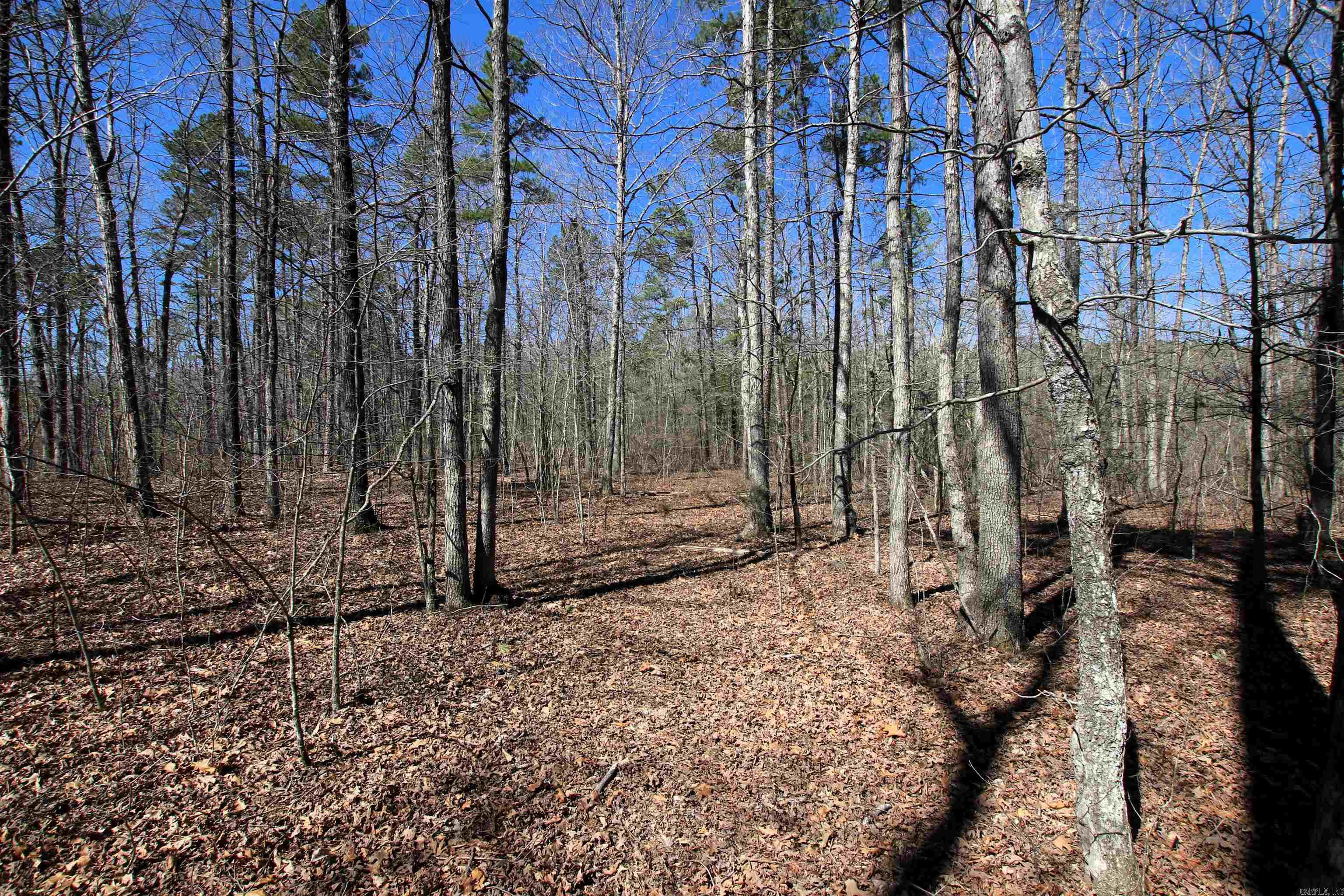 4429  Oyler  Clinton, AR