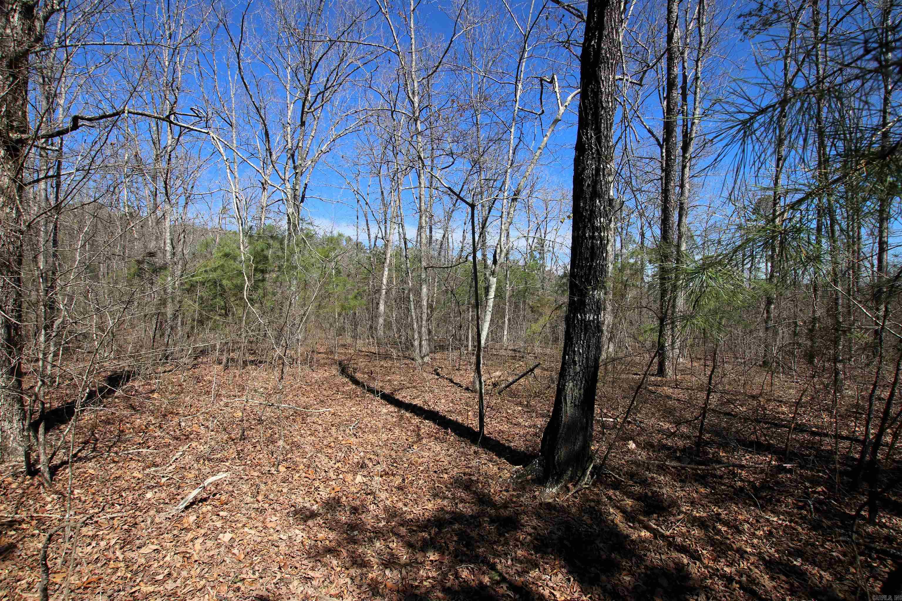 4429  Oyler  Clinton, AR