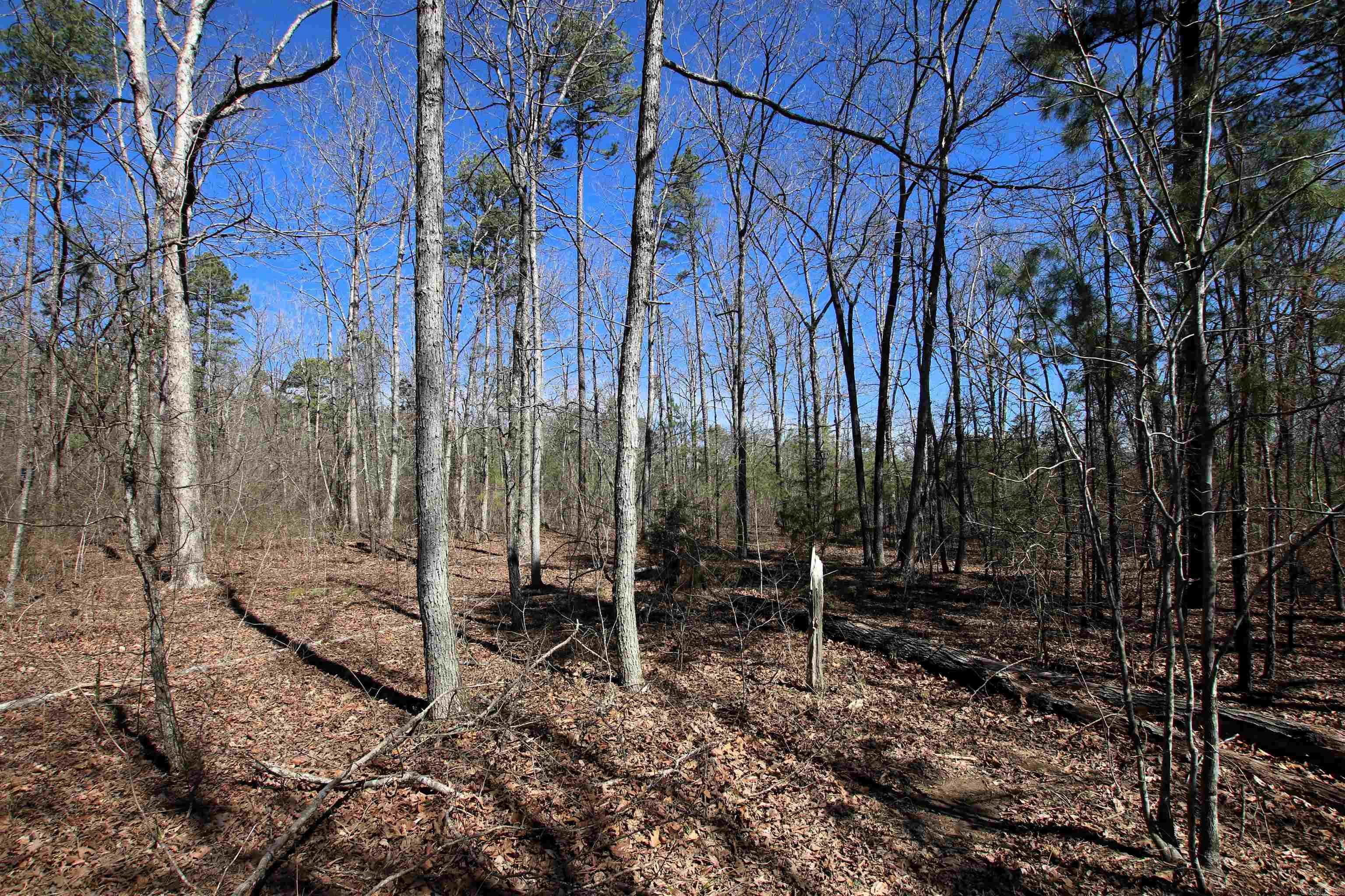 4429  Oyler  Clinton, AR