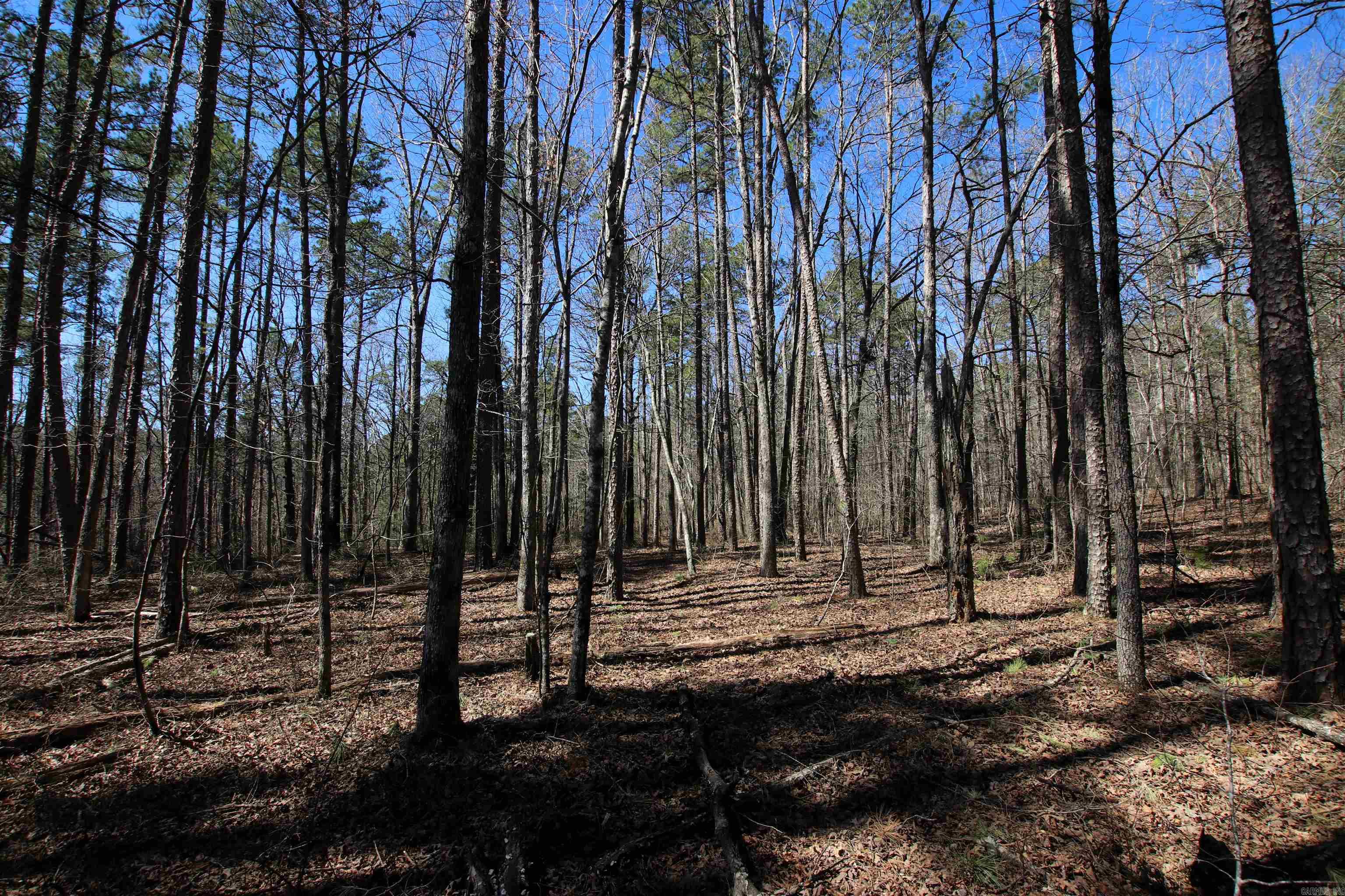 4429  Oyler  Clinton, AR