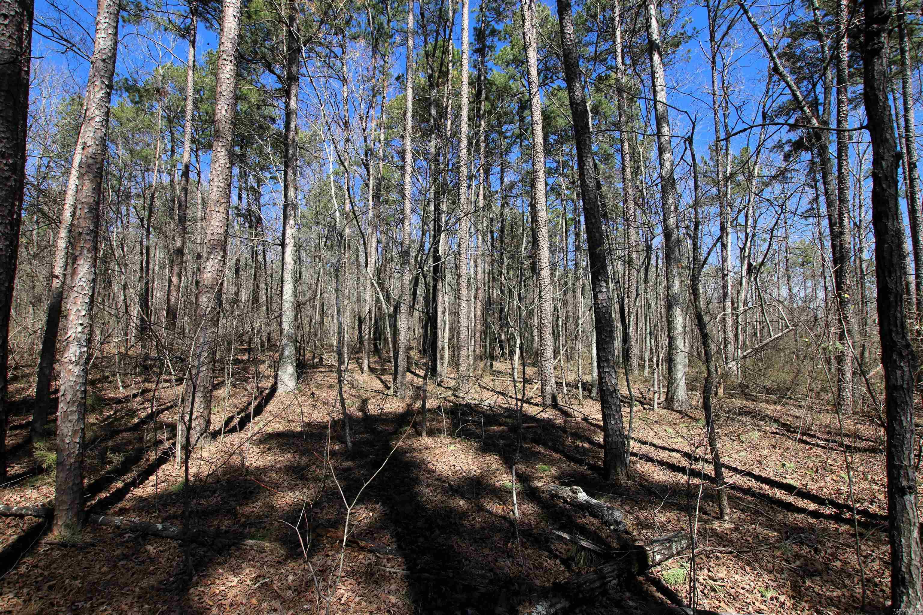 4429  Oyler  Clinton, AR