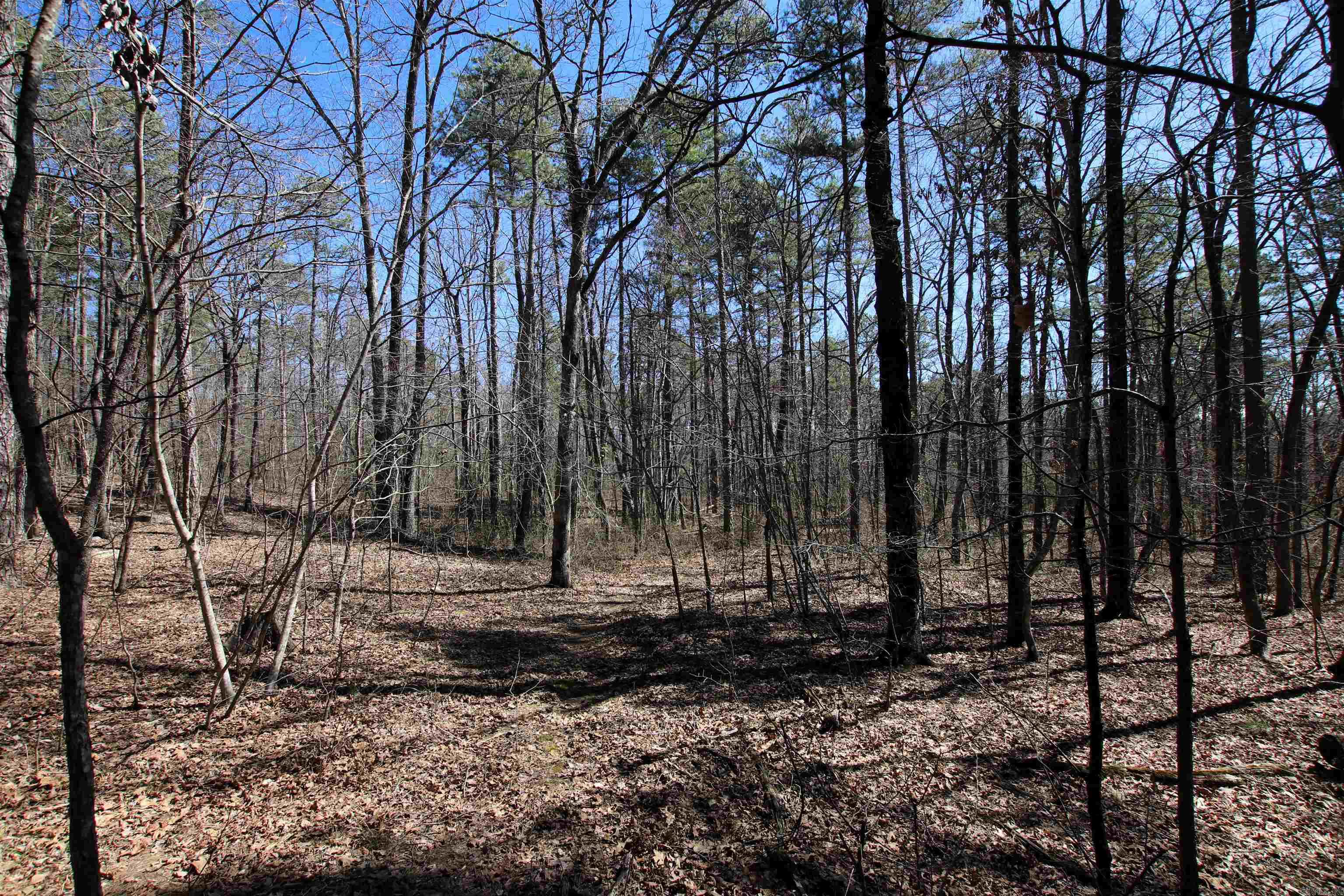4429  Oyler  Clinton, AR