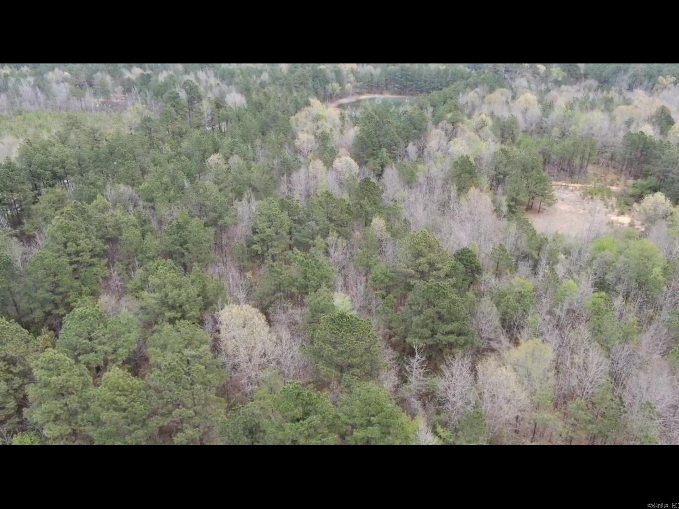HWY 278 W  Bradley 14 S  Banks, AR