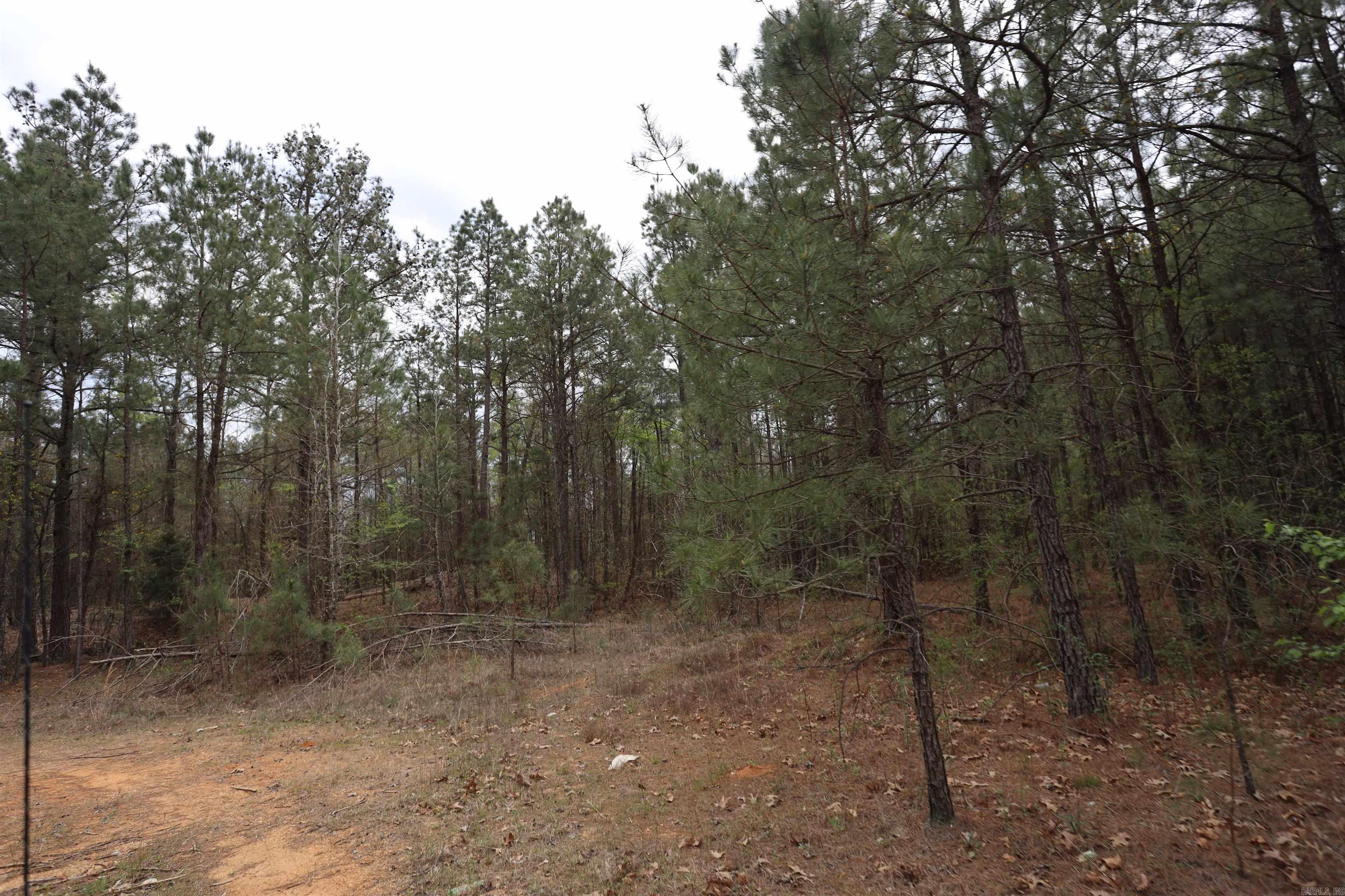 HWY 278 W  Bradley 14 S  Banks, AR