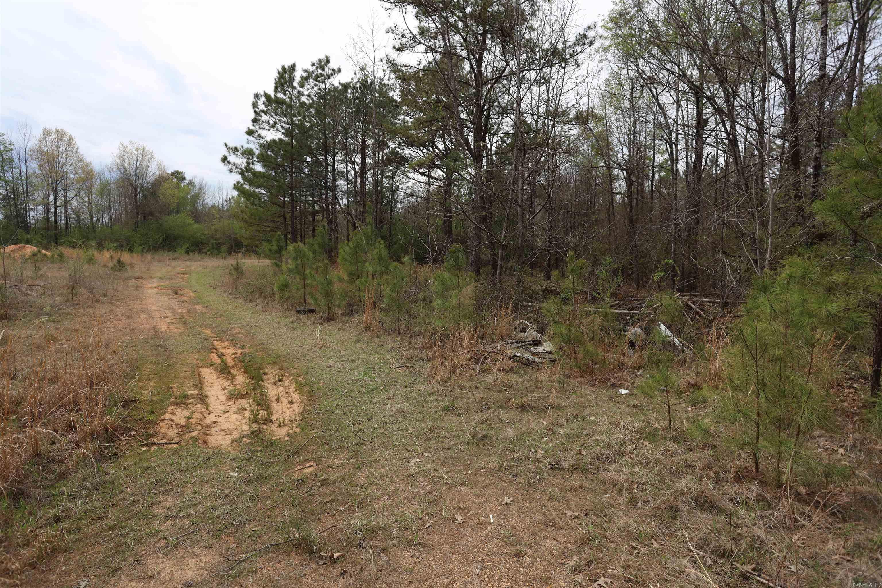 HWY 278 W  Bradley 14 S  Banks, AR