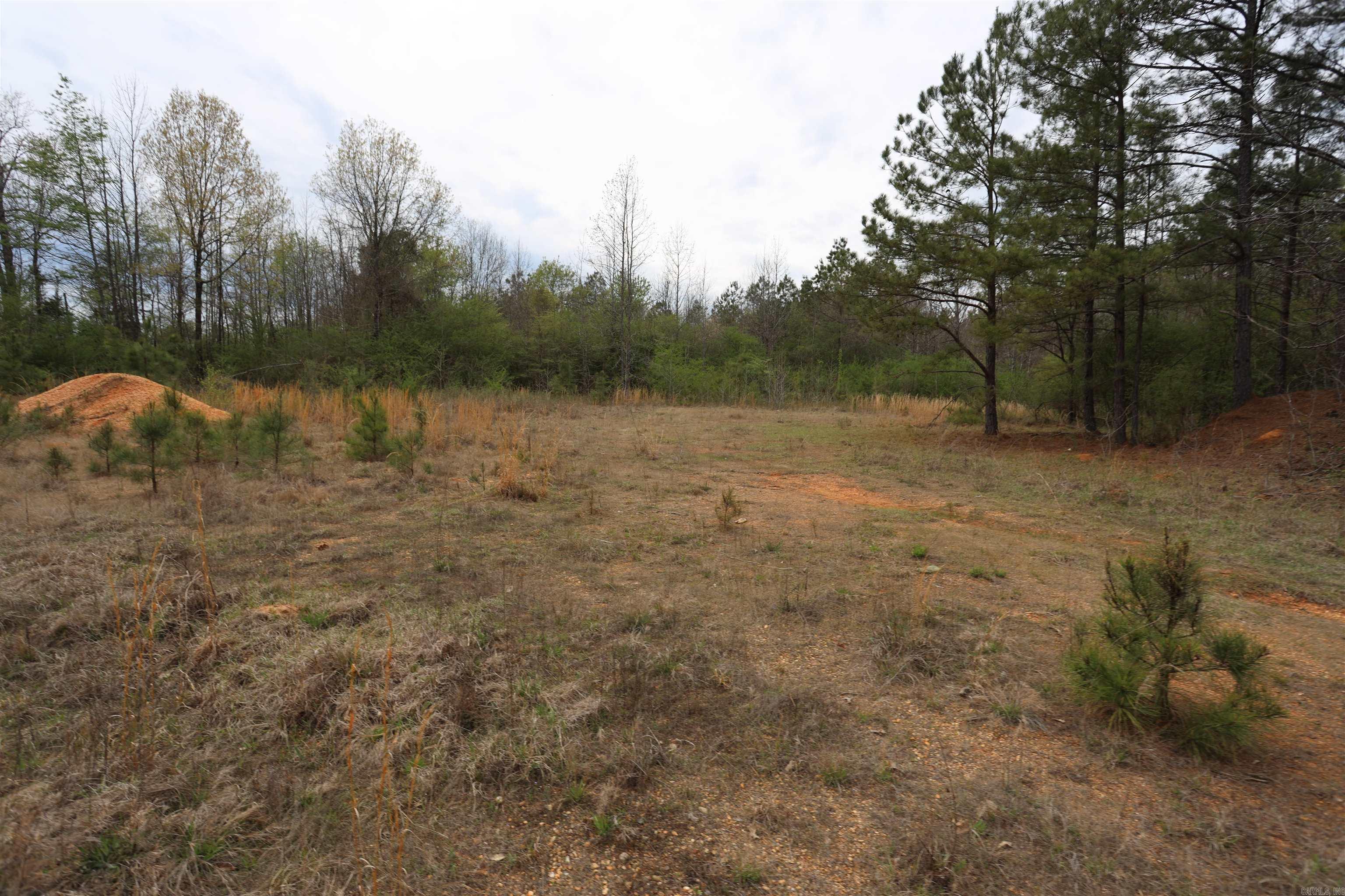 HWY 278 W  Bradley 14 S  Banks, AR