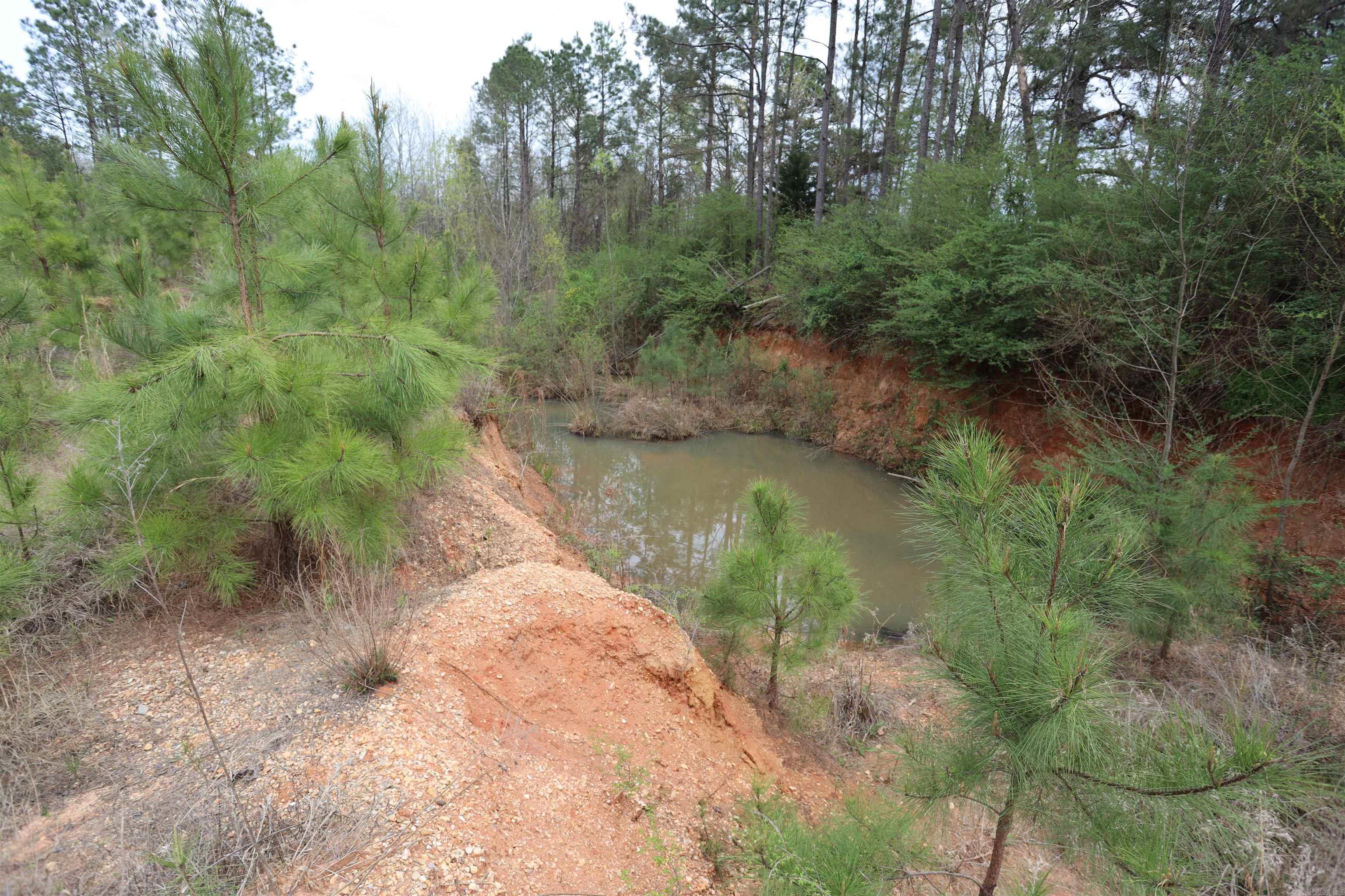 HWY 278 W  Bradley 14 S  Banks, AR