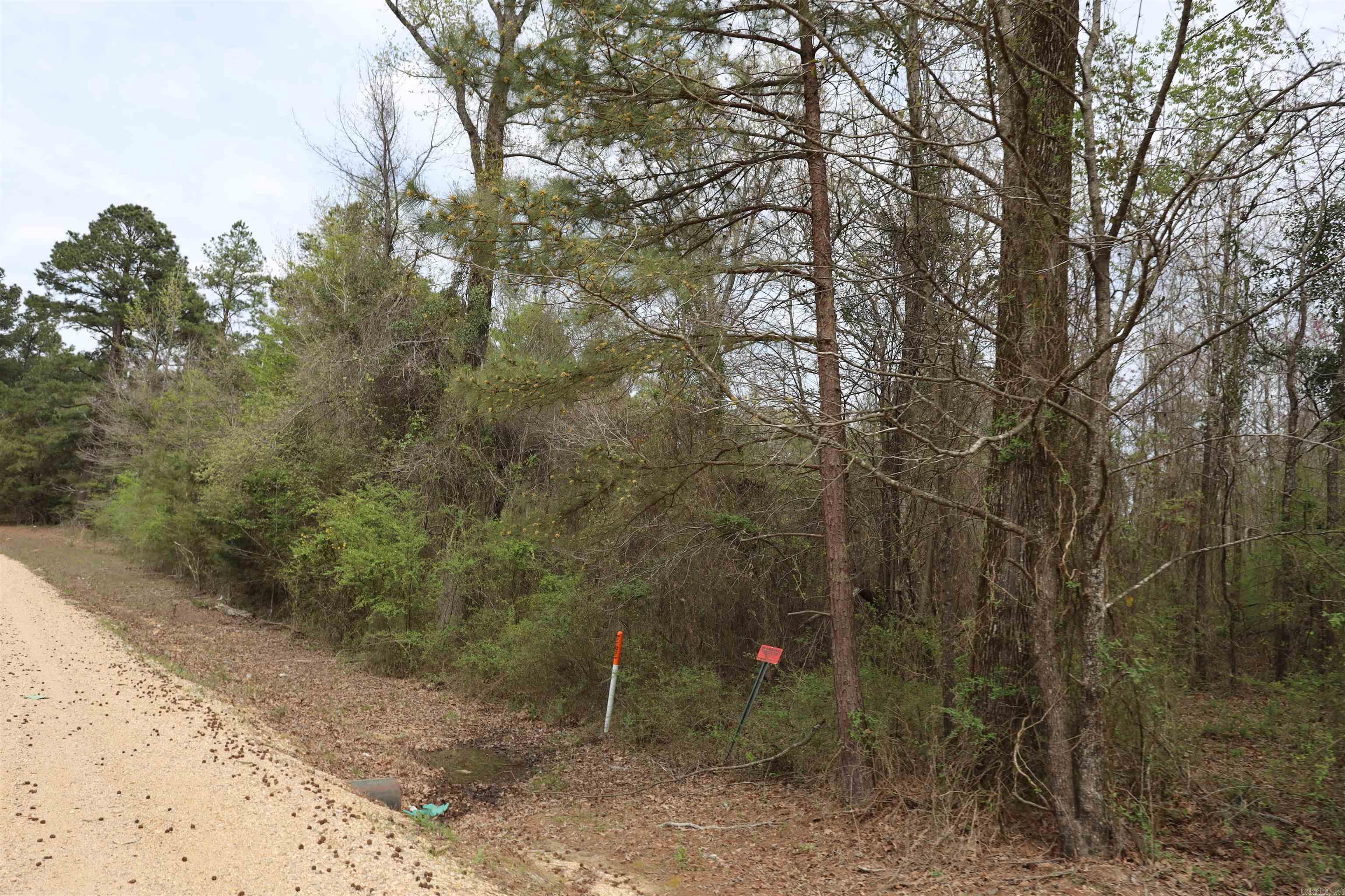 HWY 278 W  Bradley 14 S  Banks, AR