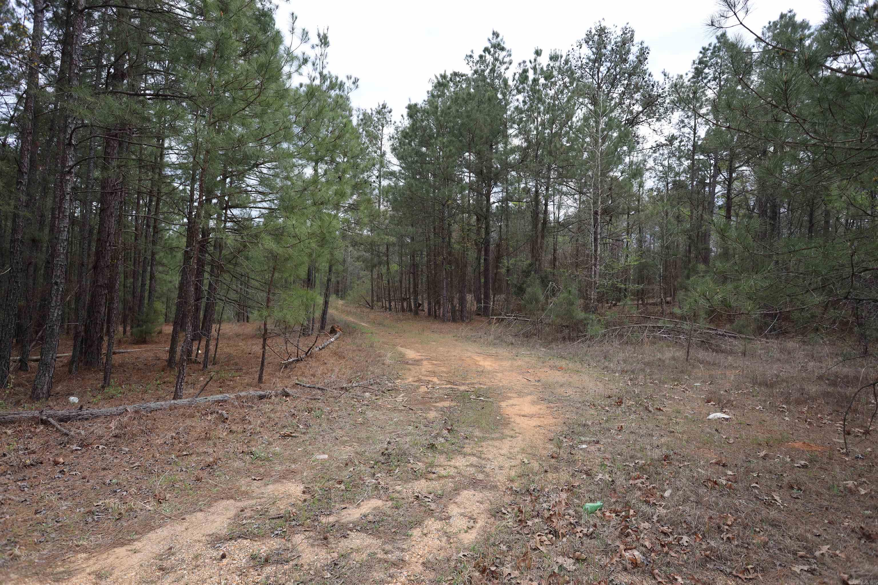 HWY 278 W  Bradley 14 S  Banks, AR