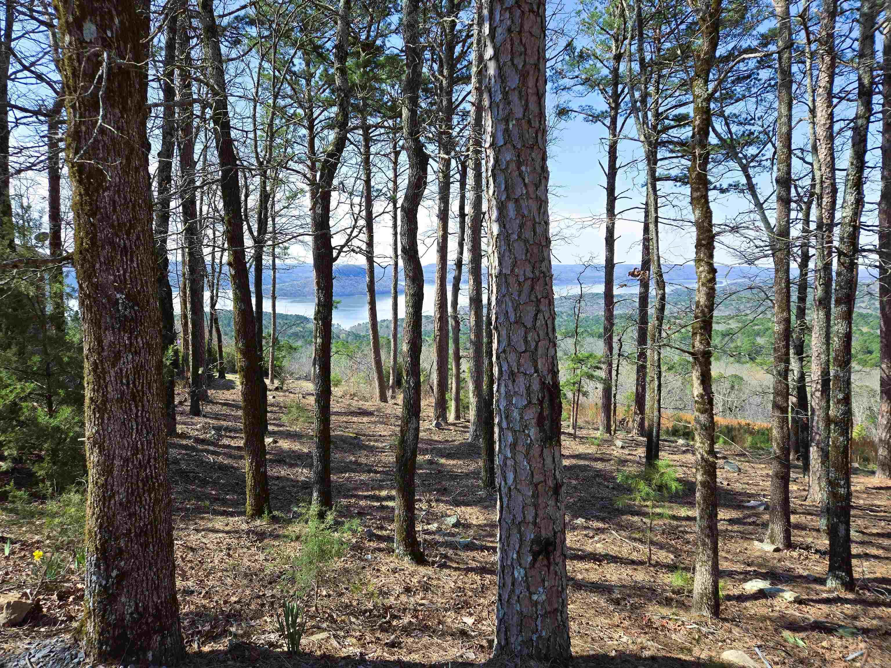   Edgle Ridge  Fairfield Bay, AR