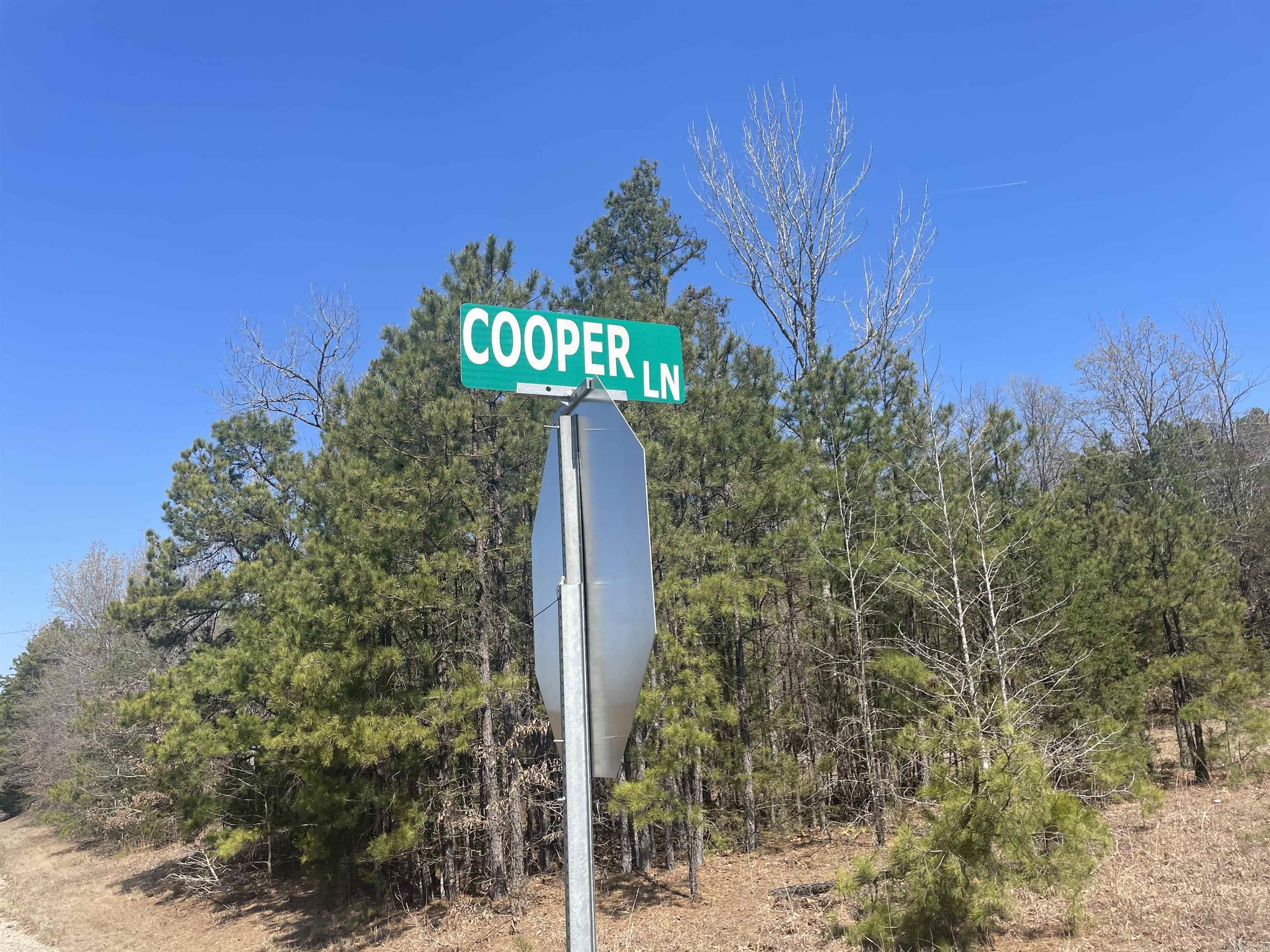 0  Cooper Lane  Quitman, AR